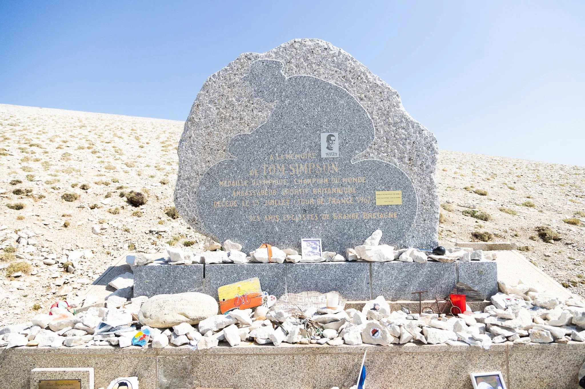 DXR_9795.jpg