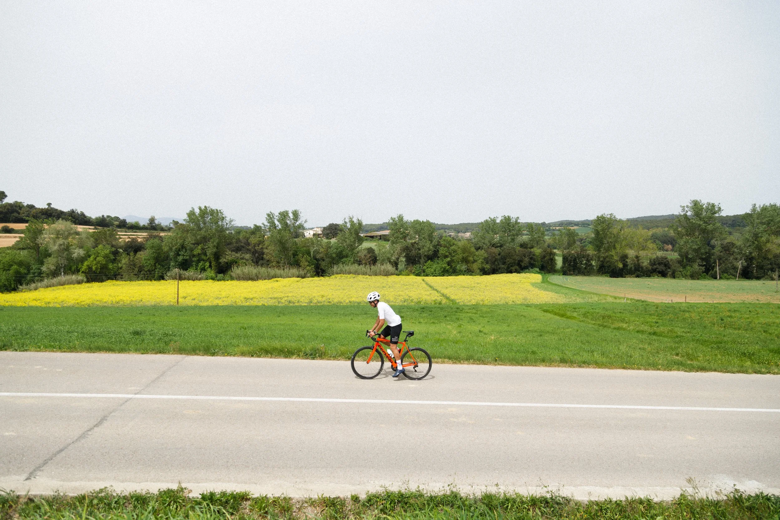 DXR_0980.jpg