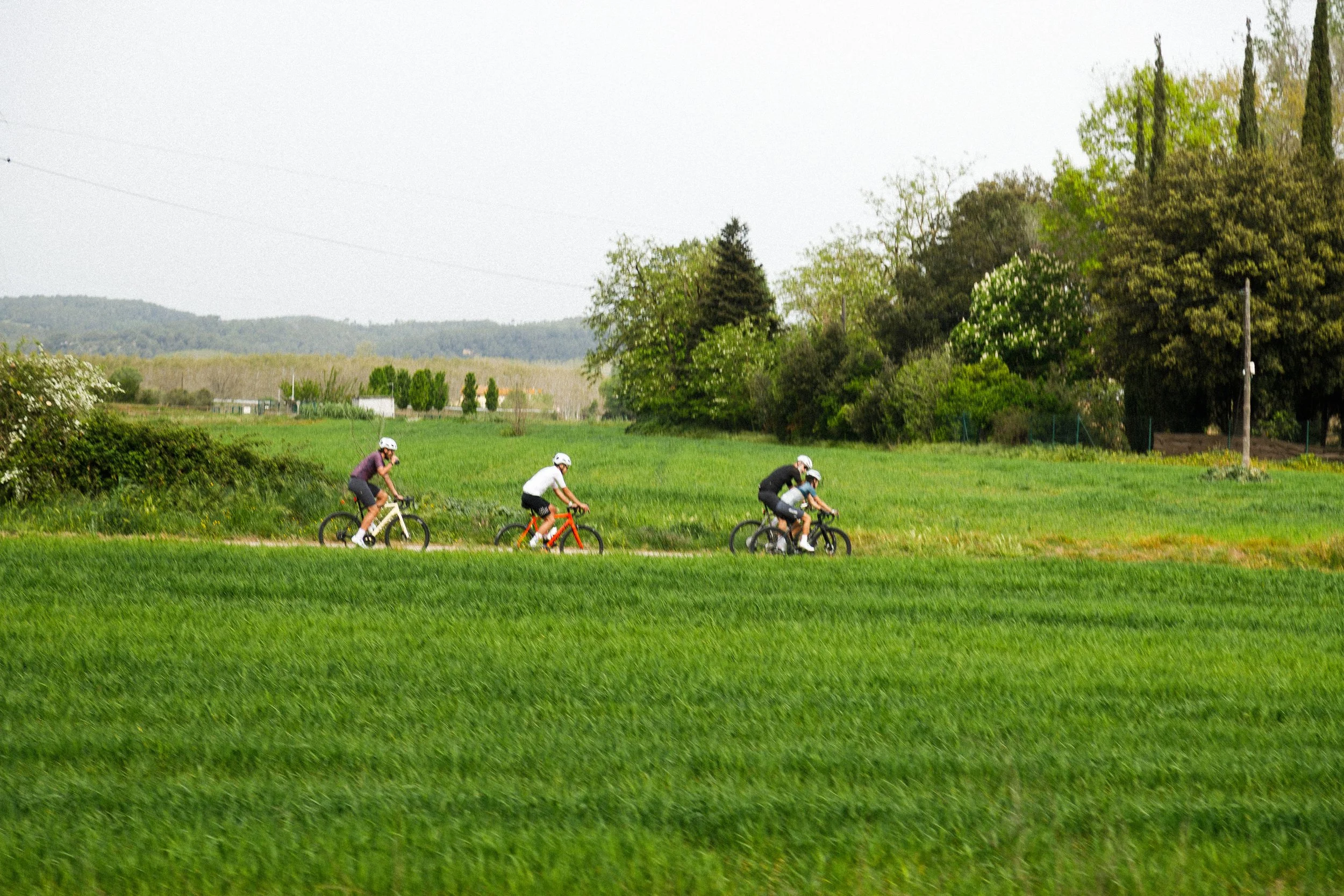 DXR_0262.jpg