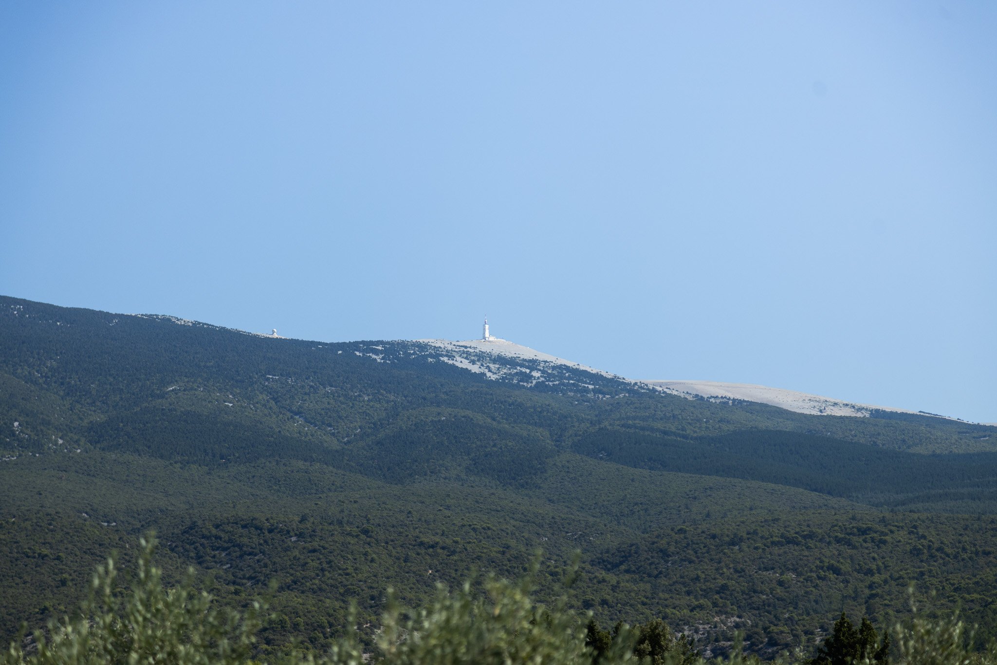 DXR_9749.jpg