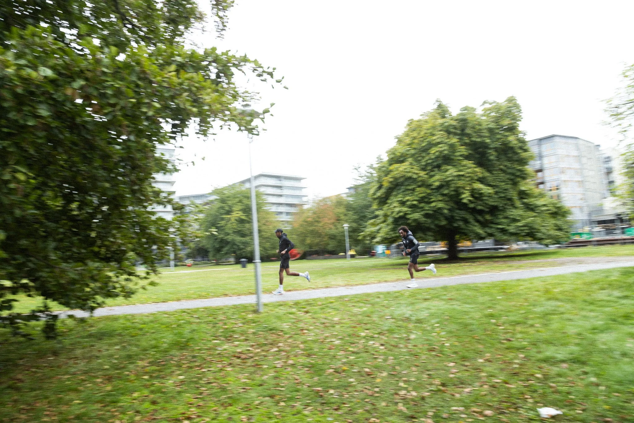 DXR_3071.jpg
