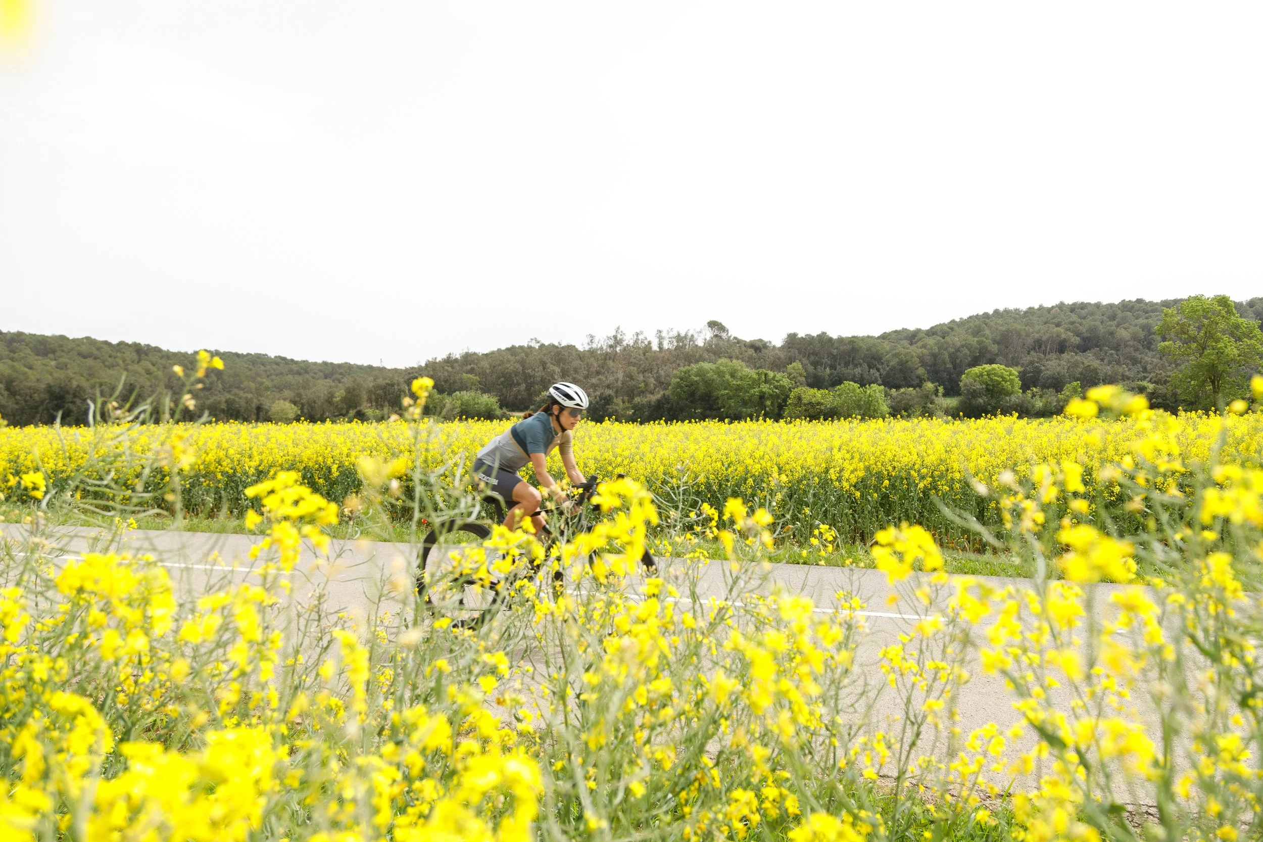 DXR_0807.jpg