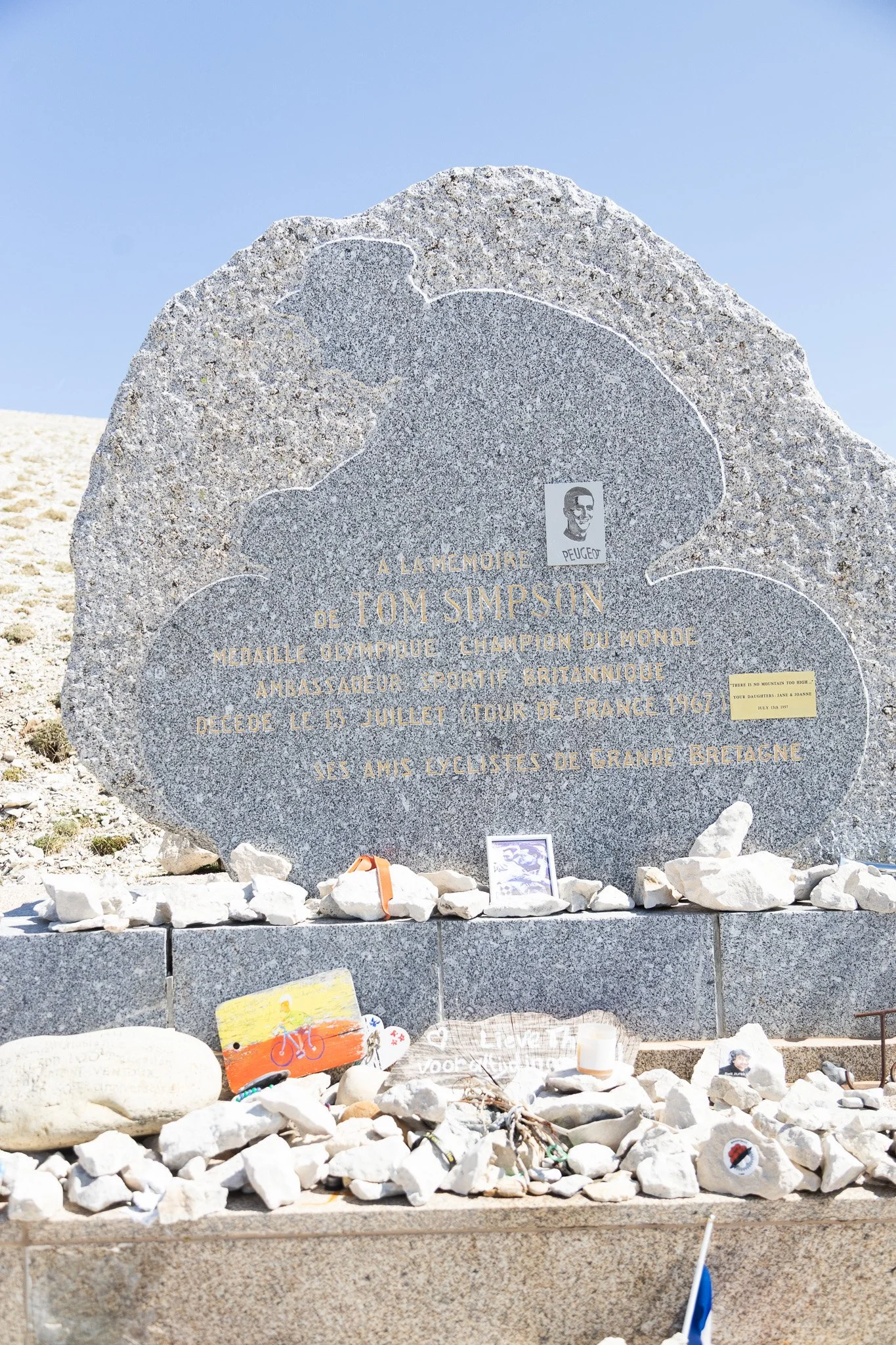 DXR_9798.jpg