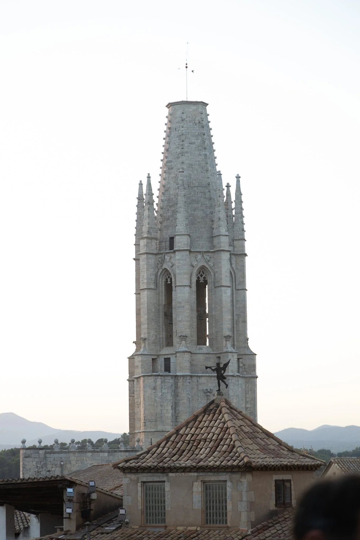 DXR_0798.jpg