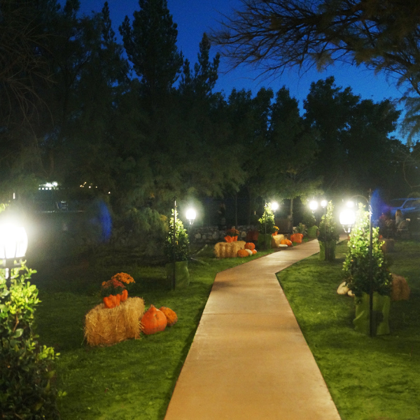 las-luminarias-3.png
