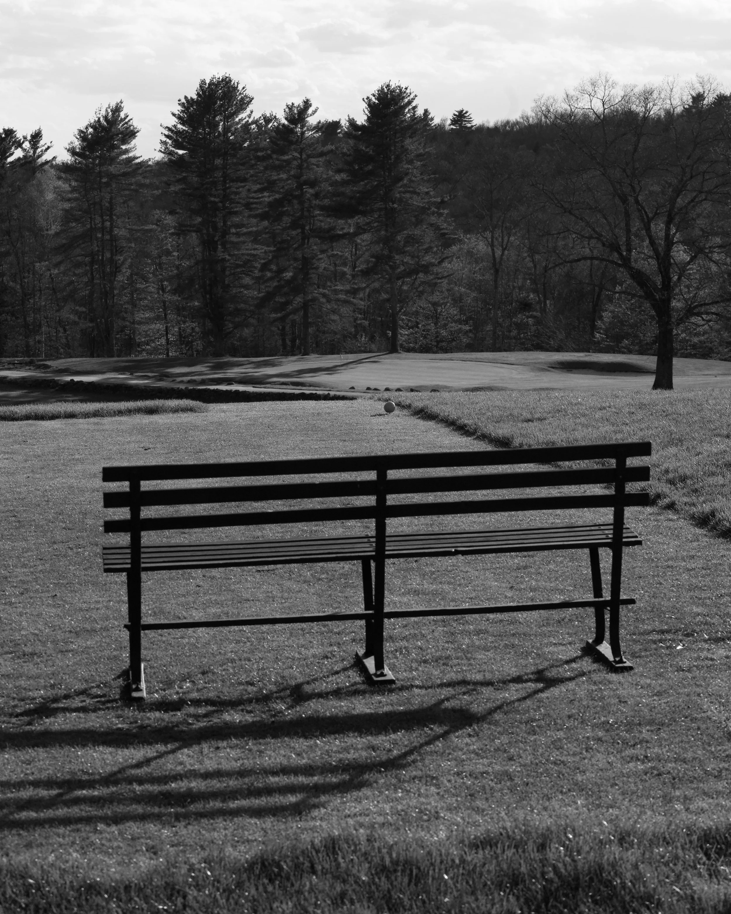 Bench on 1 Tee.jpg