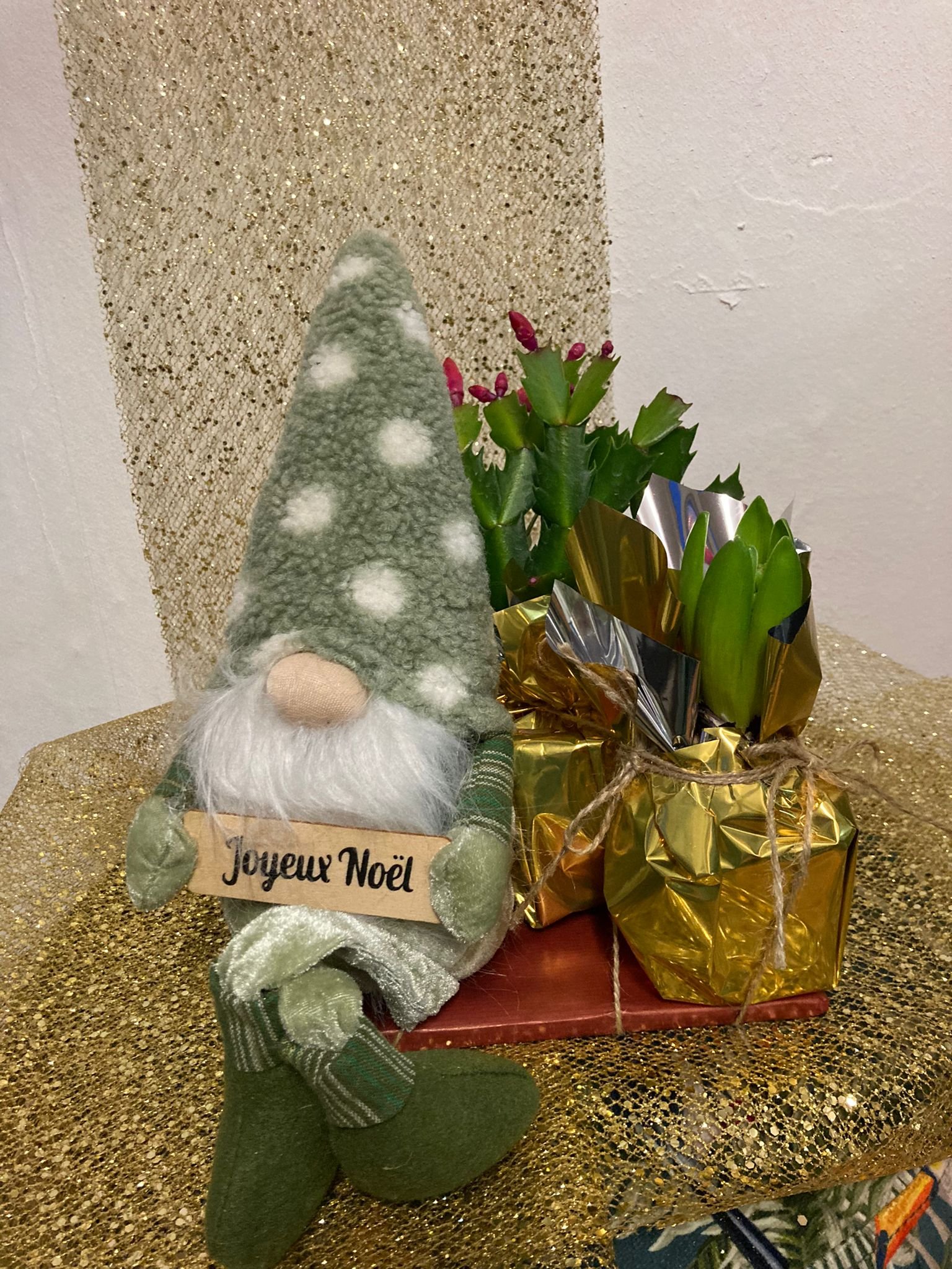 Père Noël vert accompagné de ses deux plantes