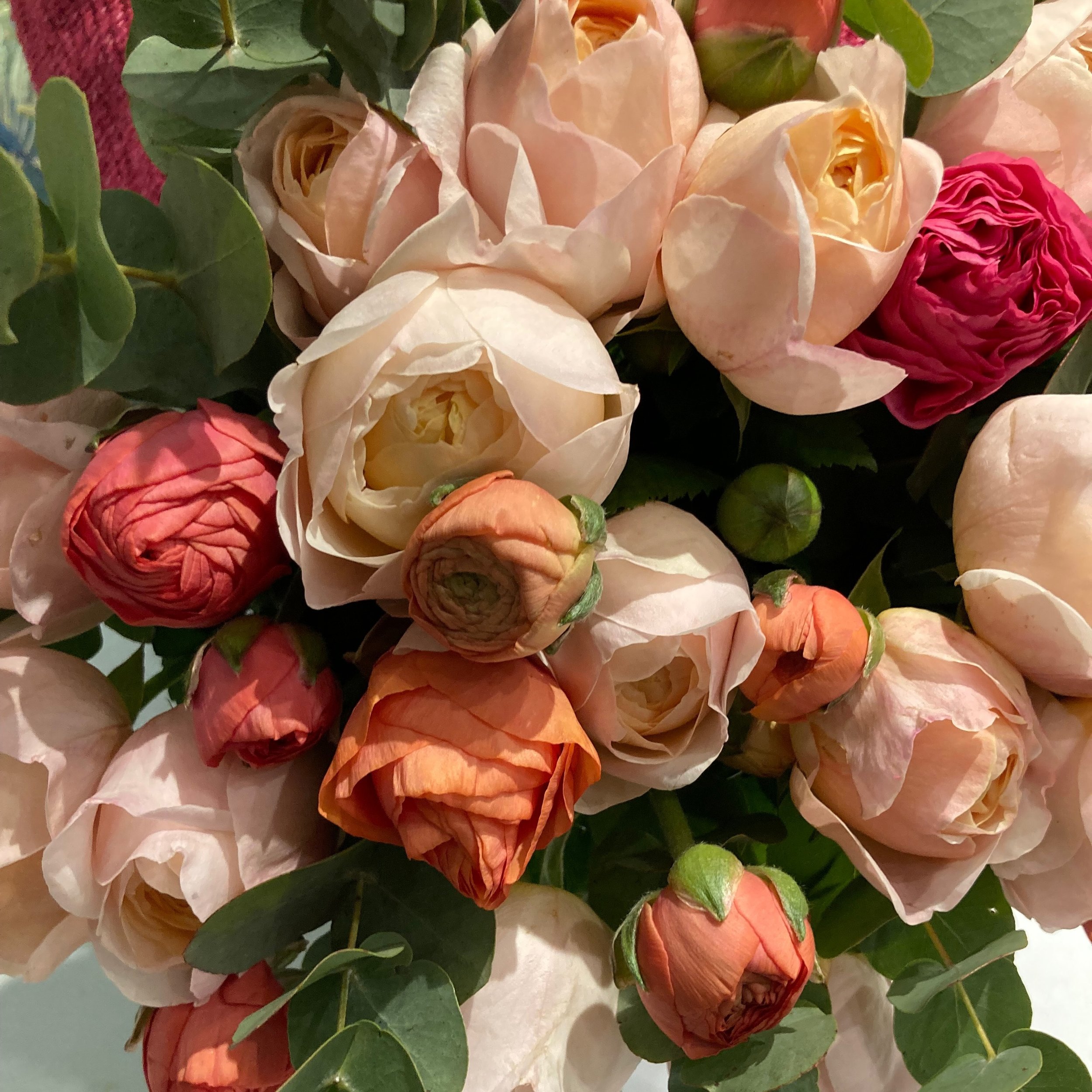 Magnifiques roses madame gulya avec ses renoncules 💐 #fleurs #bouquet #renoncule #rose