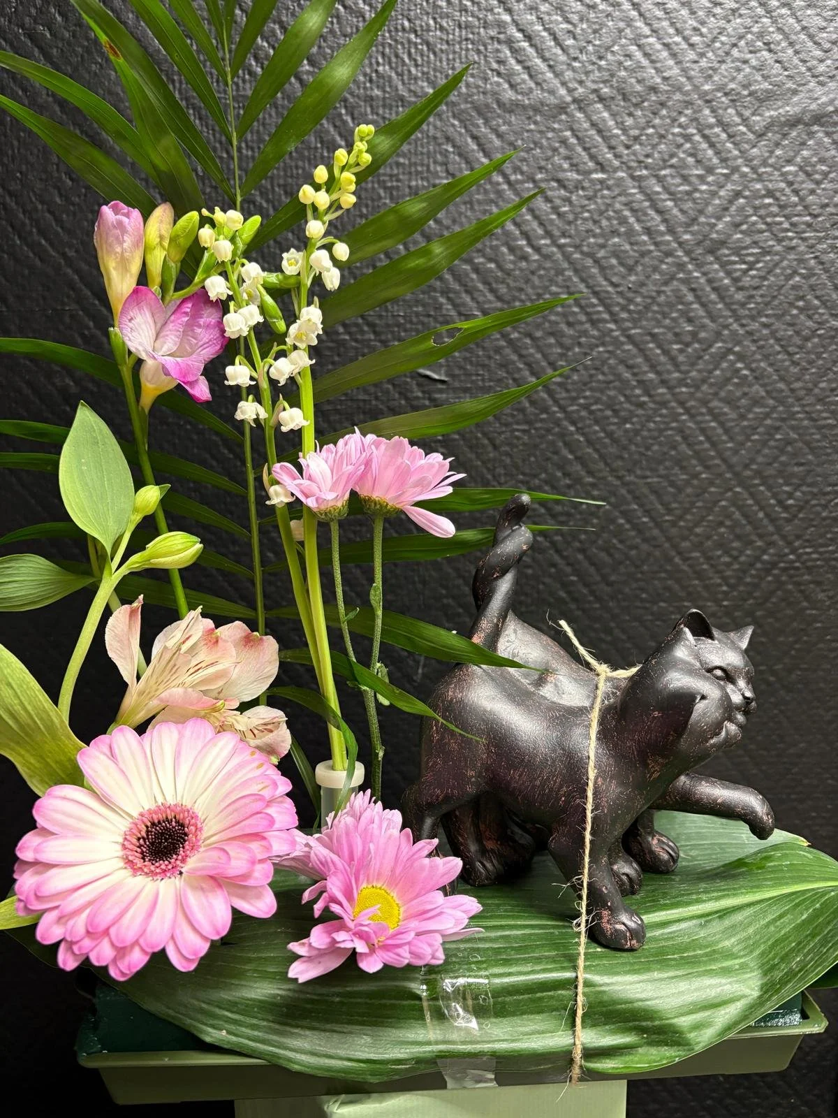 WhatsApp Image 2026-04-28 at 11.00.45.jpeg