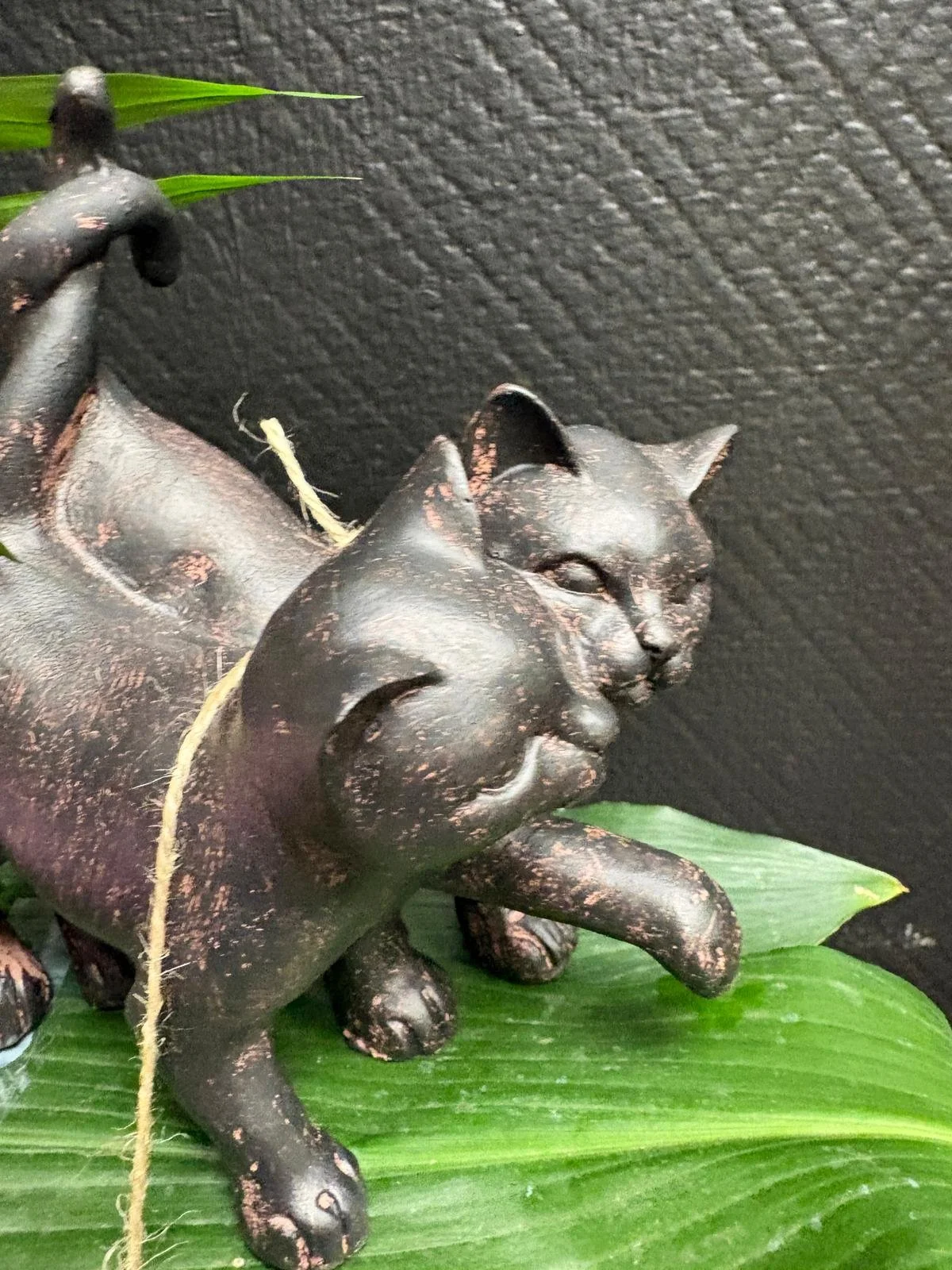 WhatsApp Image 2026-04-28 at 11.00.45 (1).jpeg