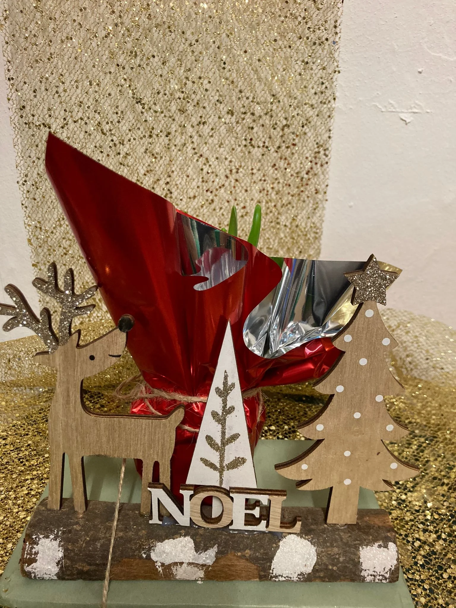 Bûche de Noël et jacinthe