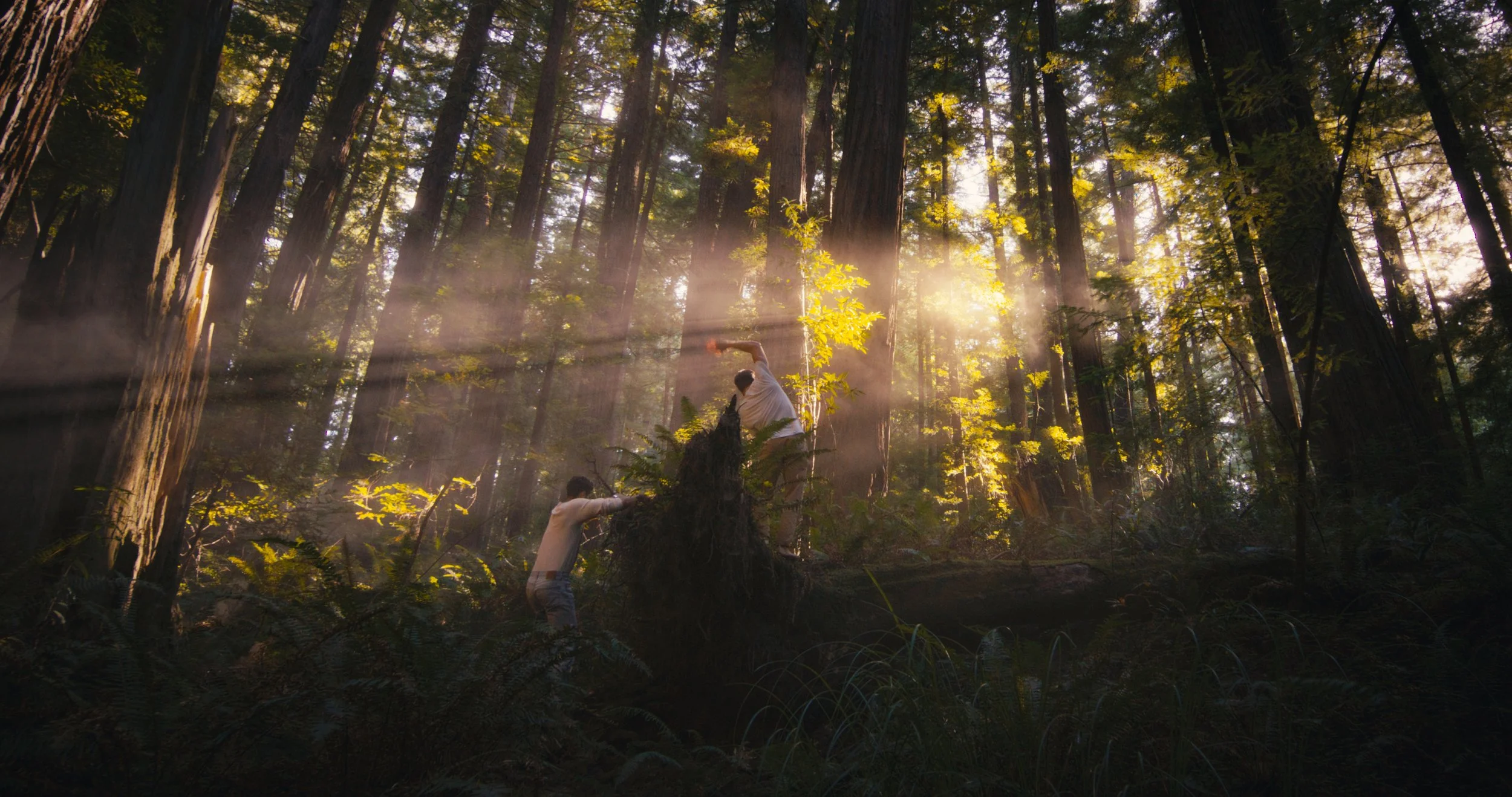 hand in ray_3.2.2.jpg