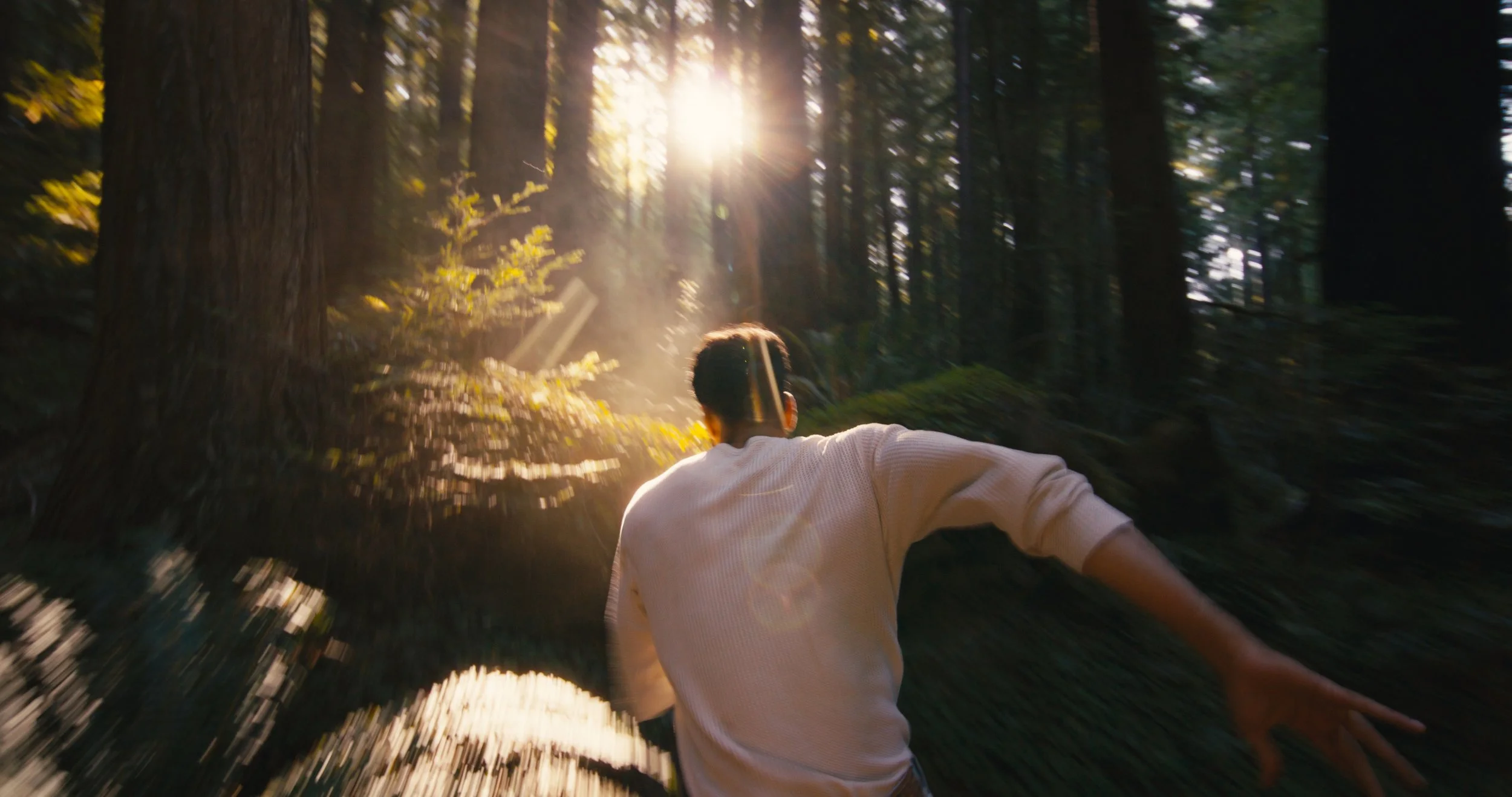 Running woods_2.8.2.jpg