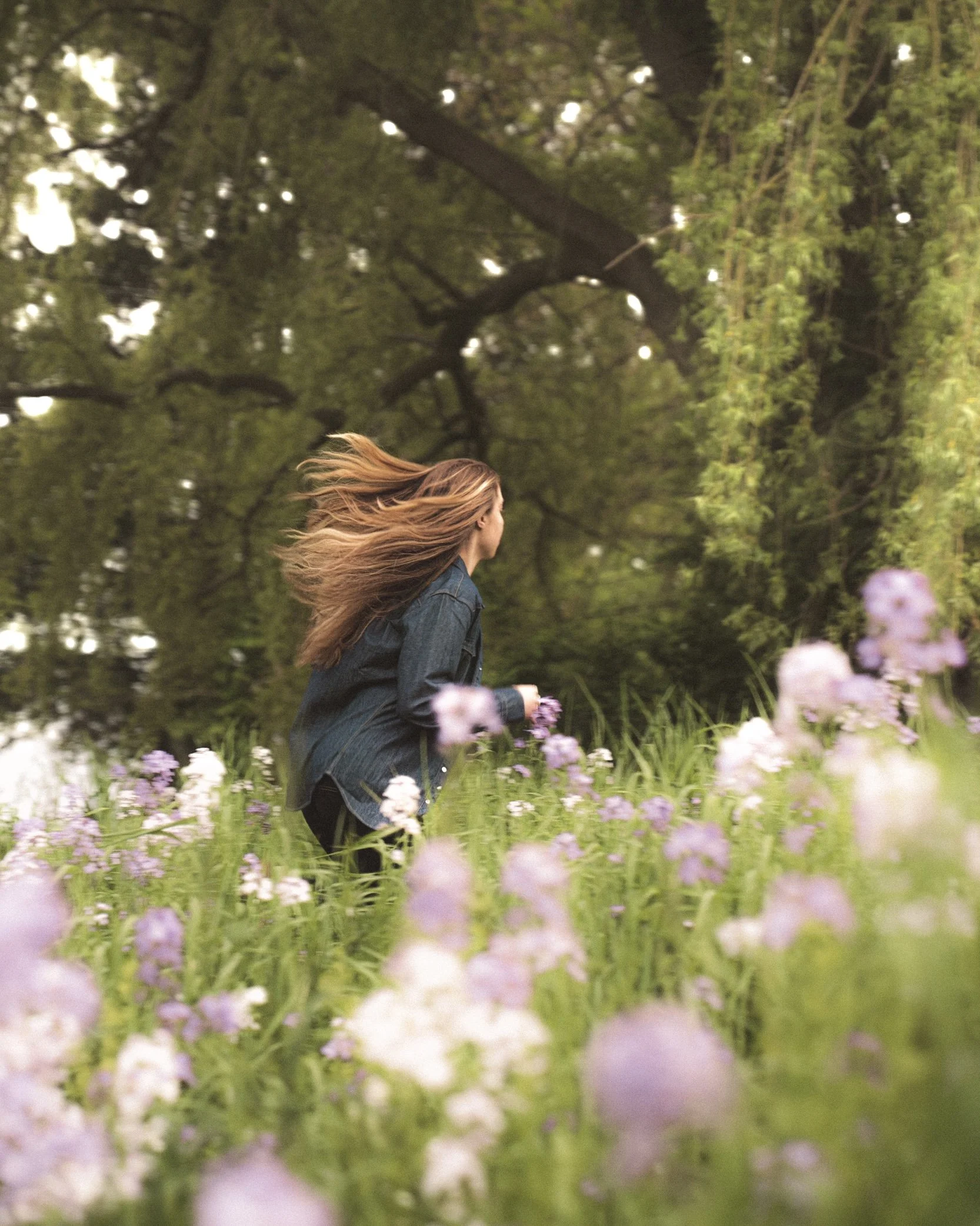 Wildflowers Final_.jpg