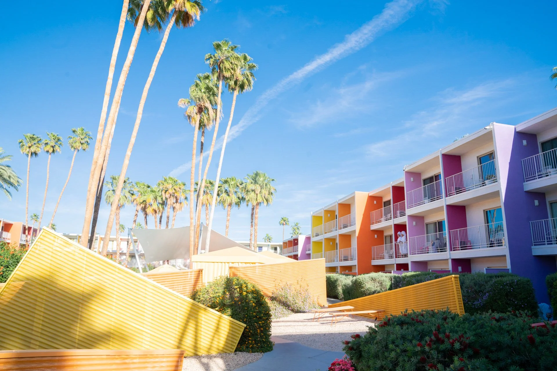 Glenn Webb Dayrtrip18.jpg