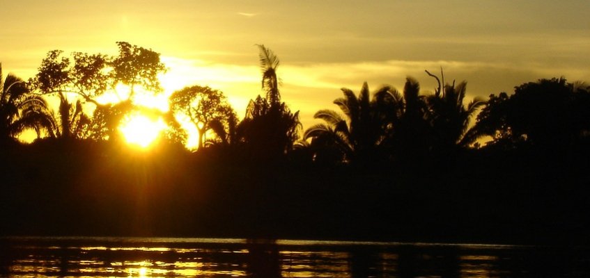 Amazon rainforest at dusk with sunset