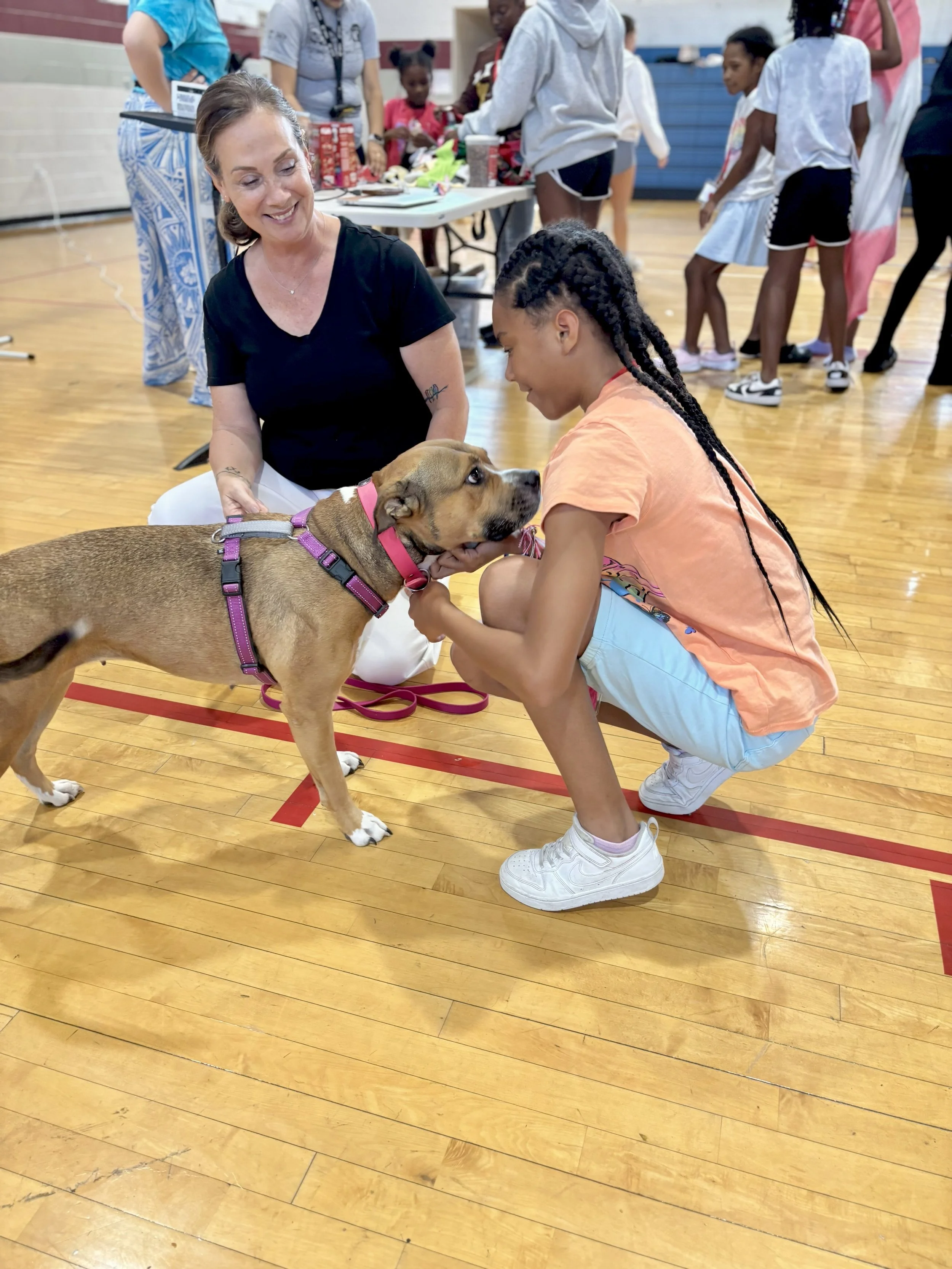 Dog GI Camp 1.jpg