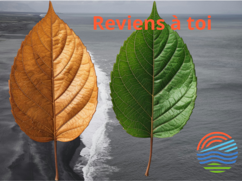 Reviens à toi (et passe en niveau 3-4)