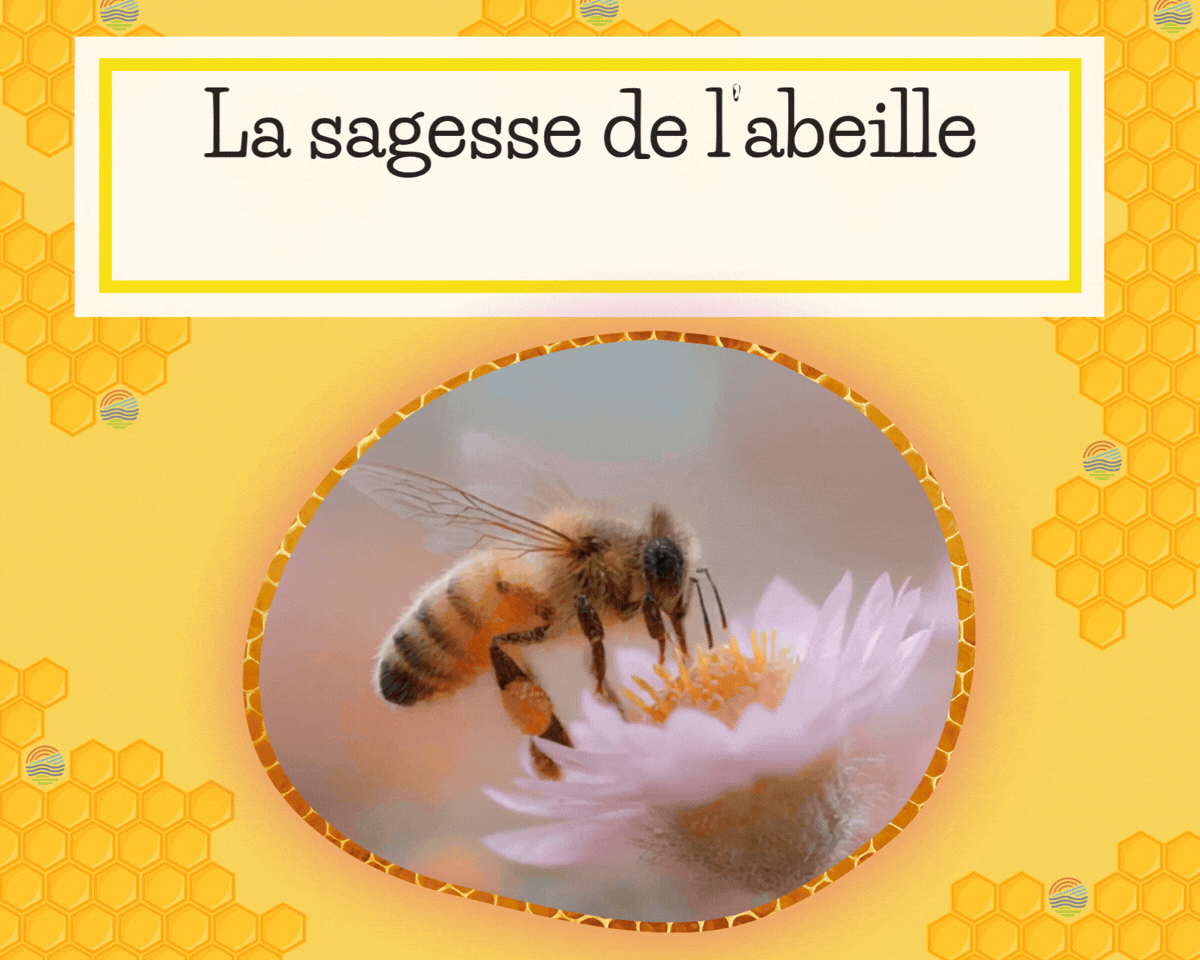 Butine librement