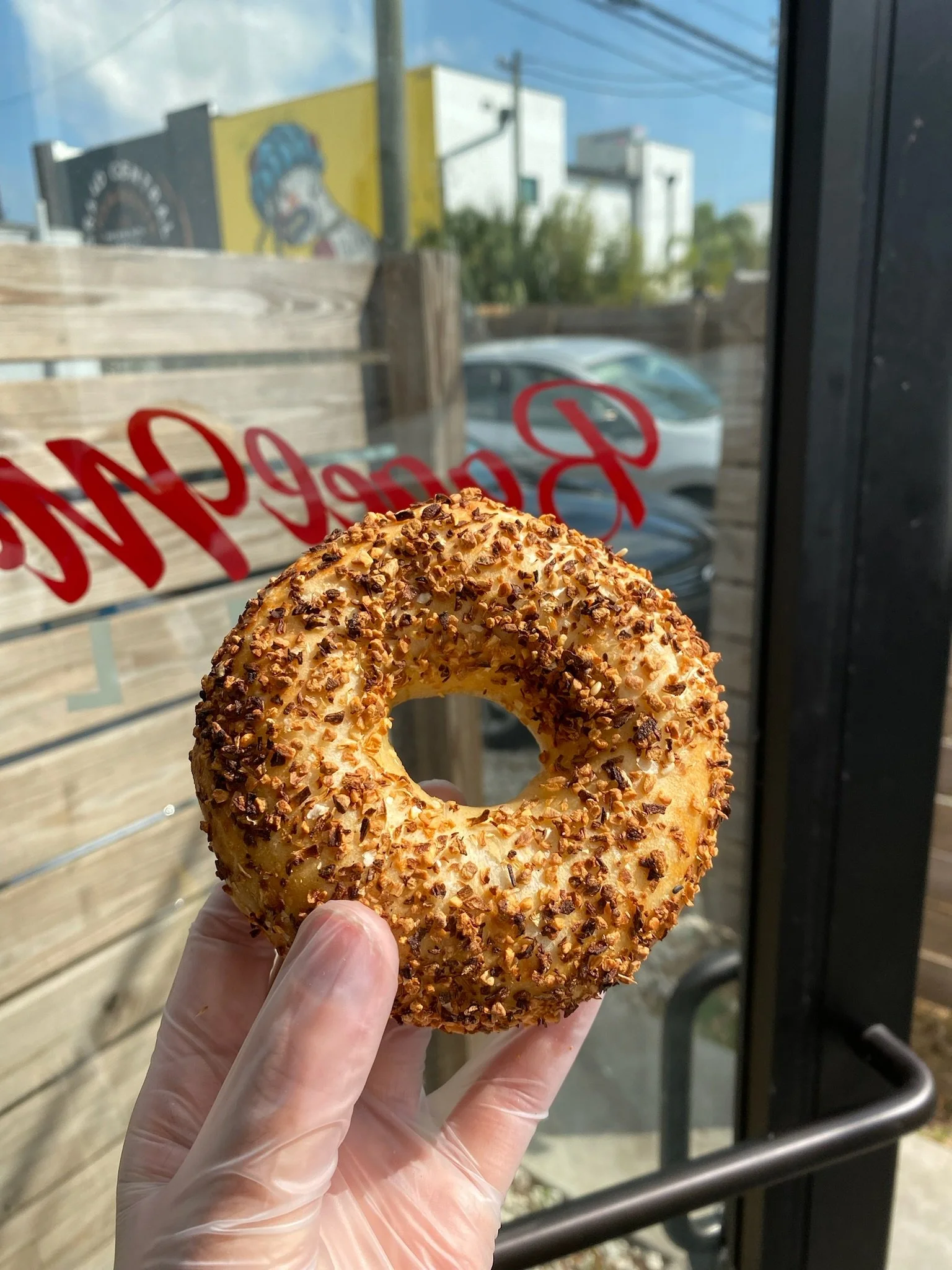Hand holding an onion bagel with glove near storefront window.