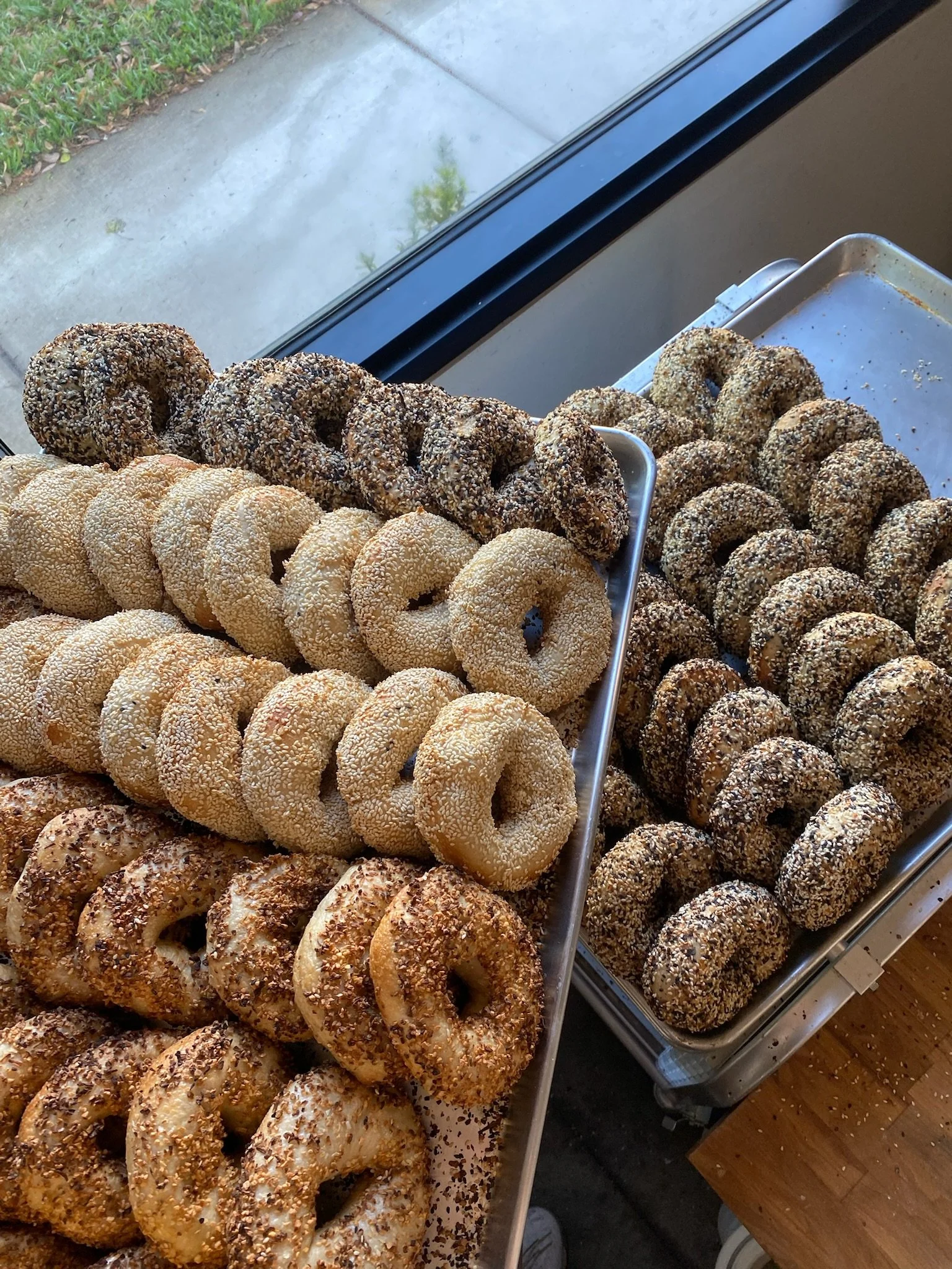 Trays of various freshly baked bagels with different seed toppings by a window.