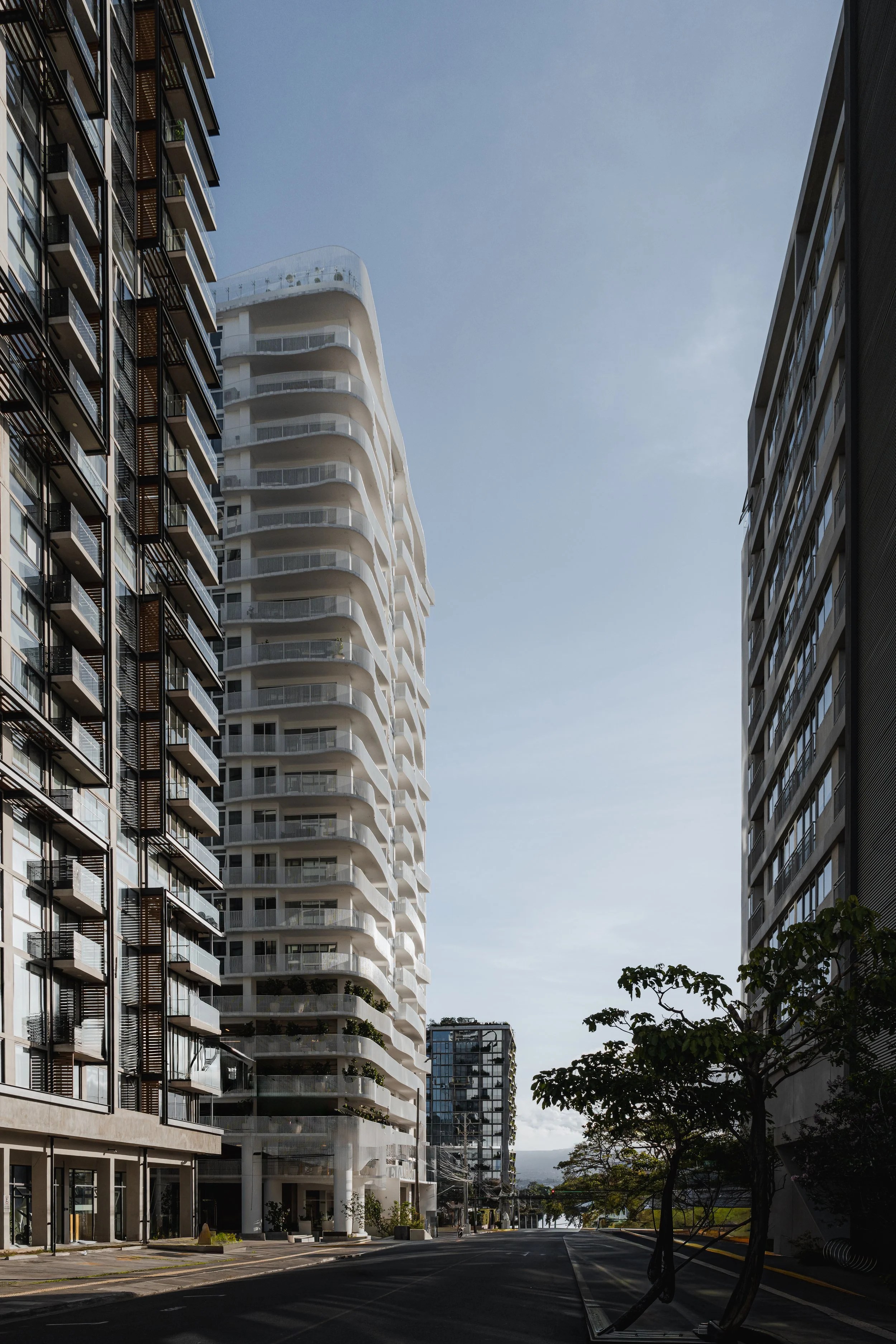 Velo-Nunciatura-SaballosArquitectos-Alvarofonseca-DepthLens-94.jpg