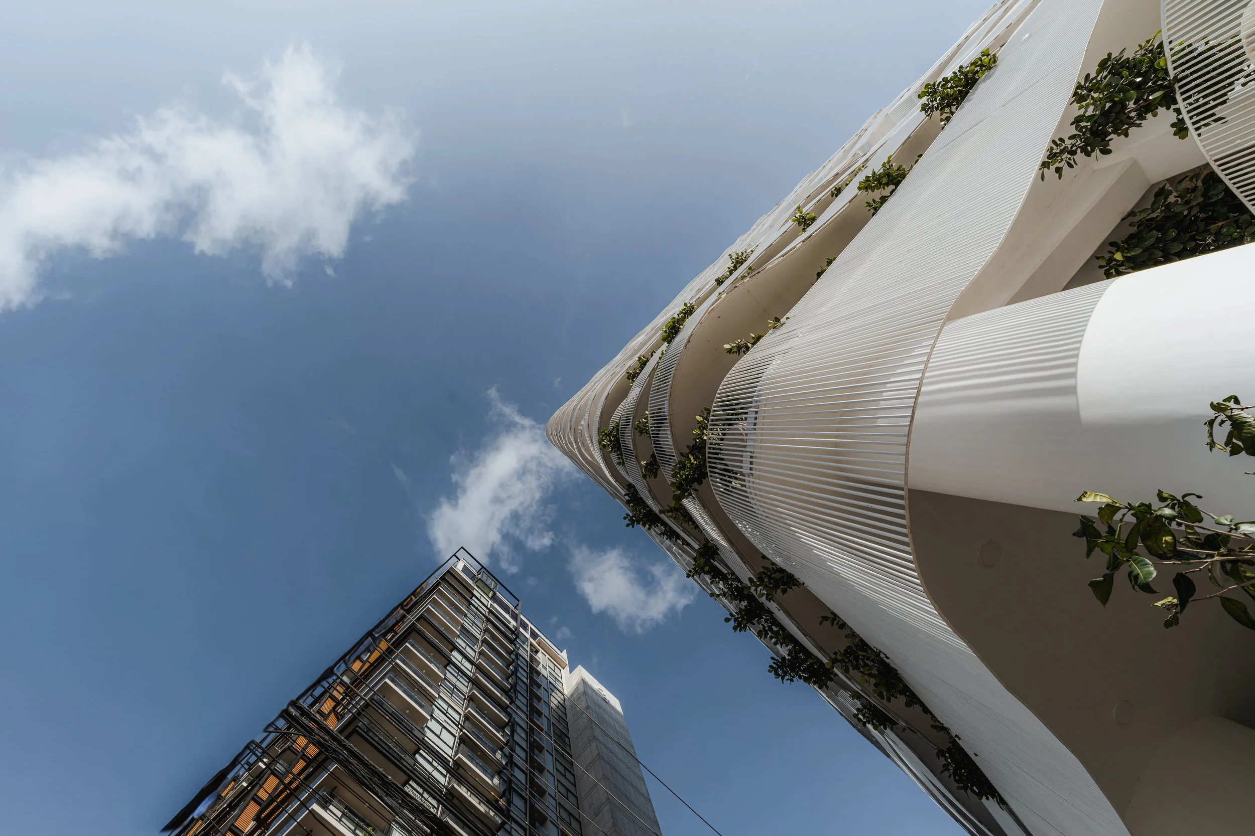 Velo-Nunciatura-SaballosArquitectos-Alvarofonseca-DepthLens-102.jpg