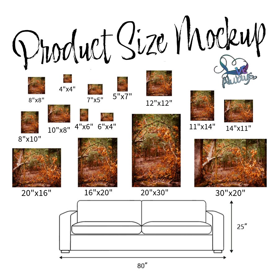 photo size mockup.jpeg