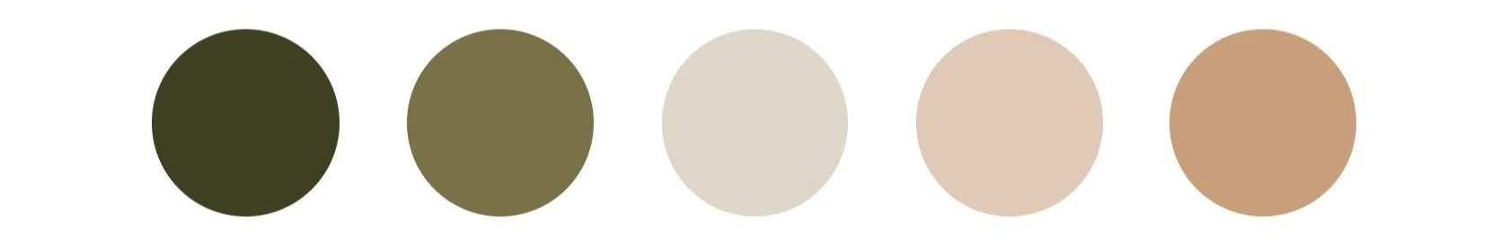 Five circles in a row displaying a gradient of earth-tone colors from dark green to light brown.