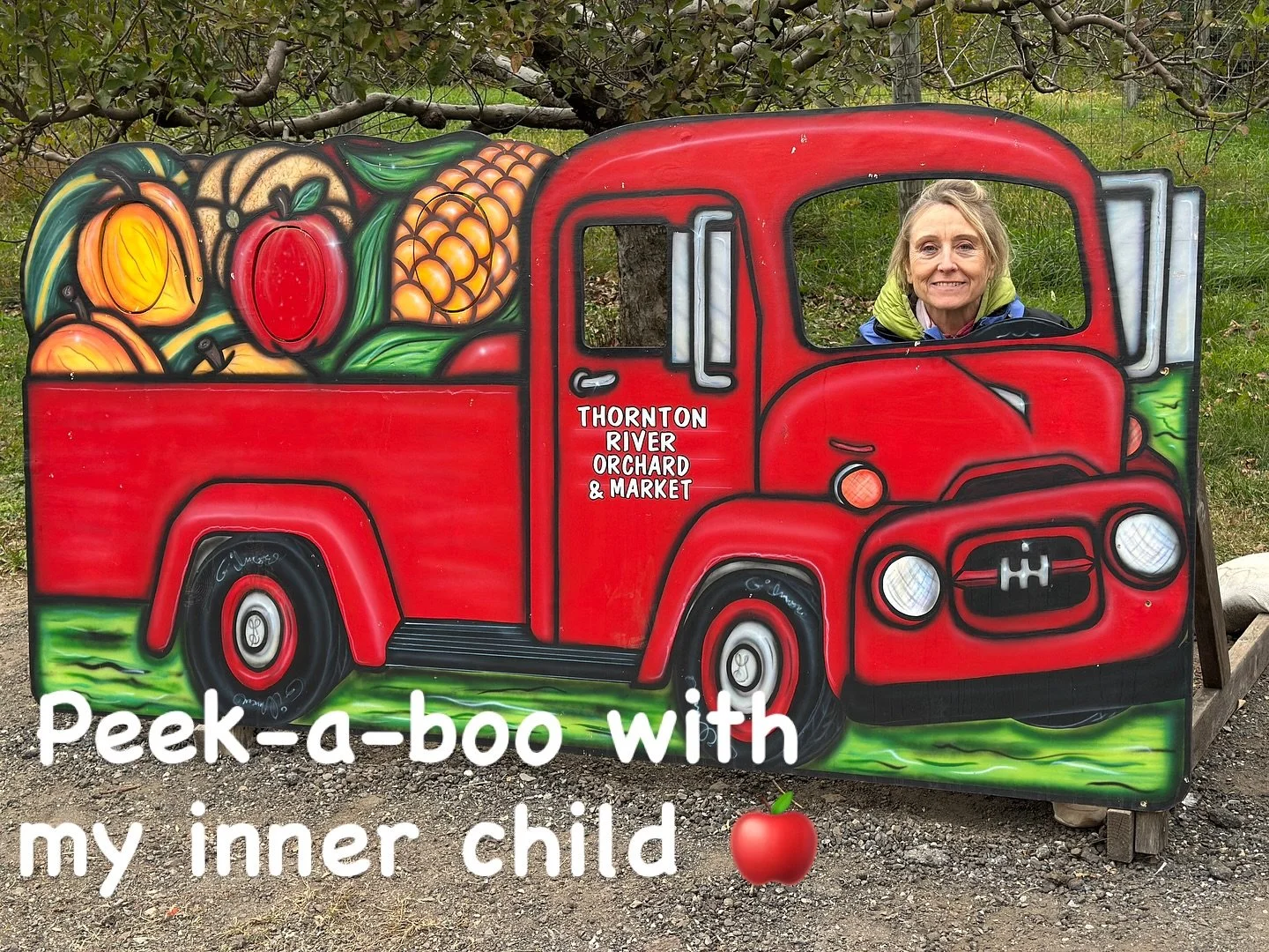 Still raising my inner child&hellip; one mountain laugh at a time 😃
 Sometimes healing looks like stillness, deep hypnosis or breathwork &mdash; and sometimes it looks like peeking through a wooden bear 🐻  and remembering that joy is medicine too.
