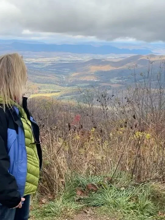 Come Home to Your Breath
Life moves fast. Waves rise and fall.
Your breath is the bridge &mdash; a way back to calm, to balance, to yourself.

Join us for these upcoming transformative breathwork events 

ONE  At the beautiful Bamboo  Garden in Delra