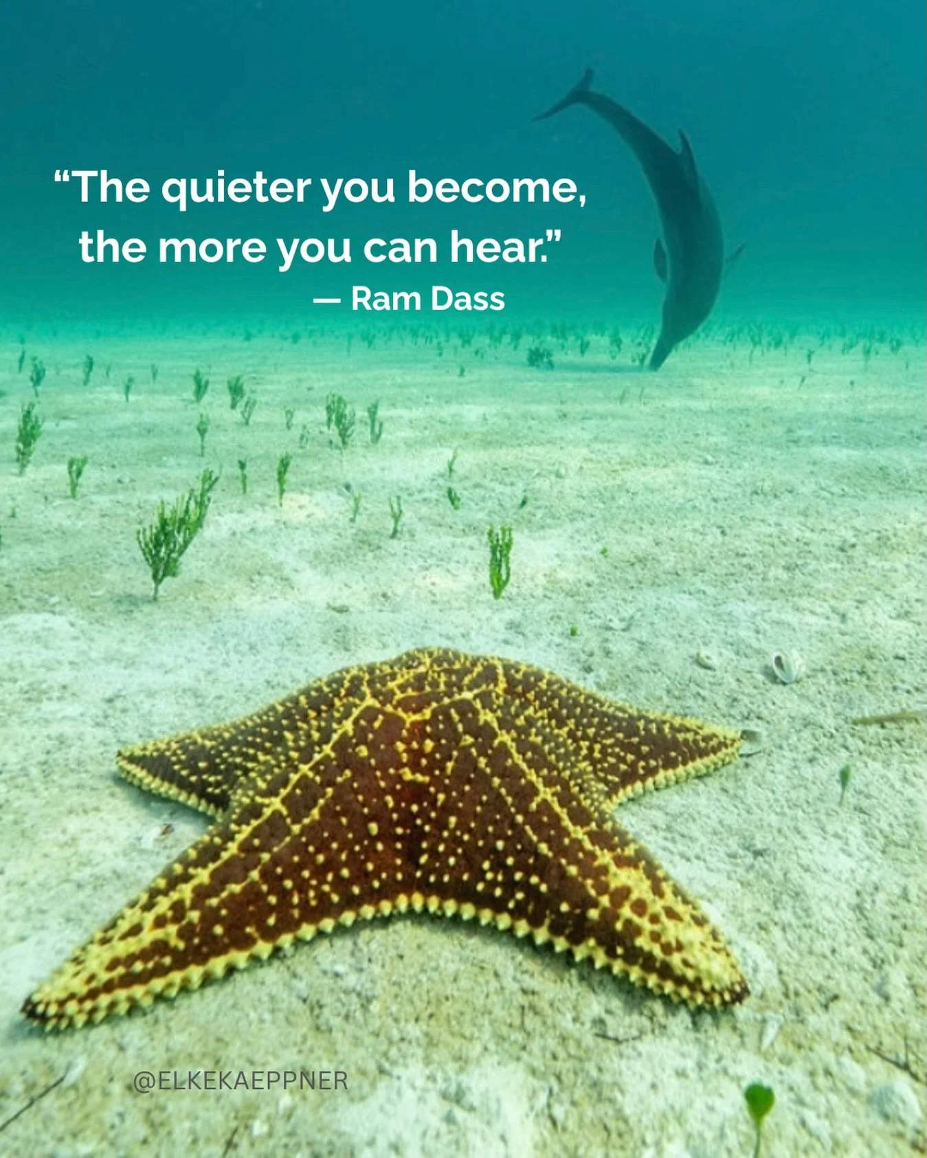 &ldquo;The quieter you become, the more you can hear.&rdquo; &mdash; Ram Dass

Quiet isn&rsquo;t empty.
It&rsquo;s a doorway&mdash;into clarity, insight, and a deeper sense of self.

As someone who guides people inward for a living, I see this again 