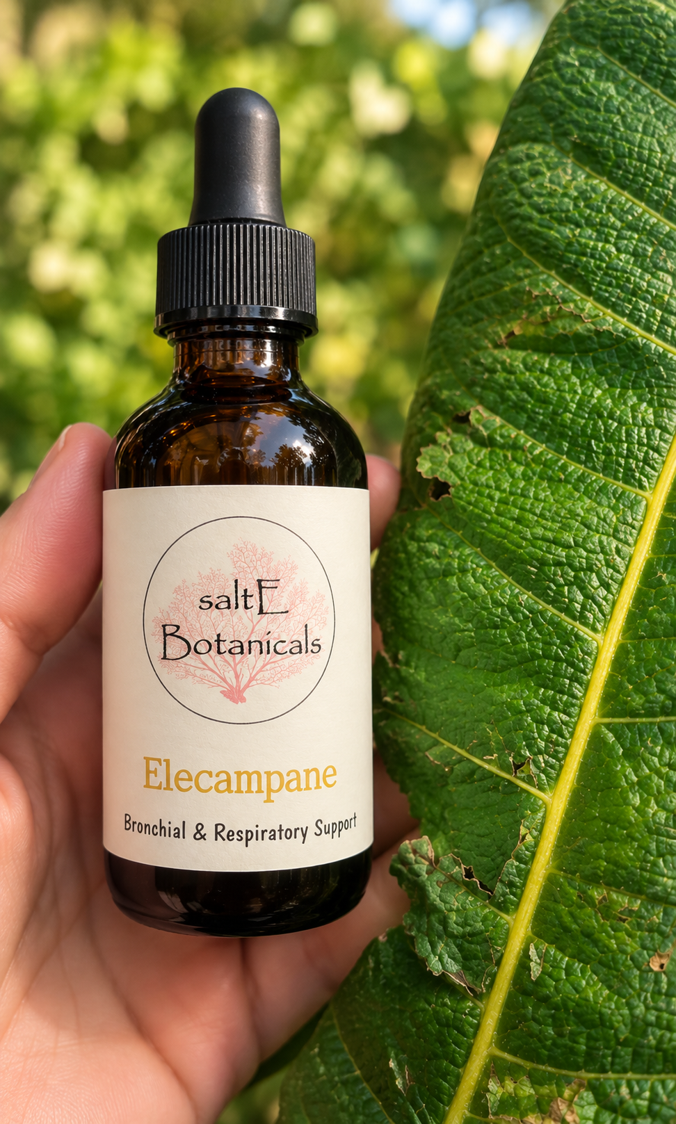 Elecampane Respiratory Support Tincture