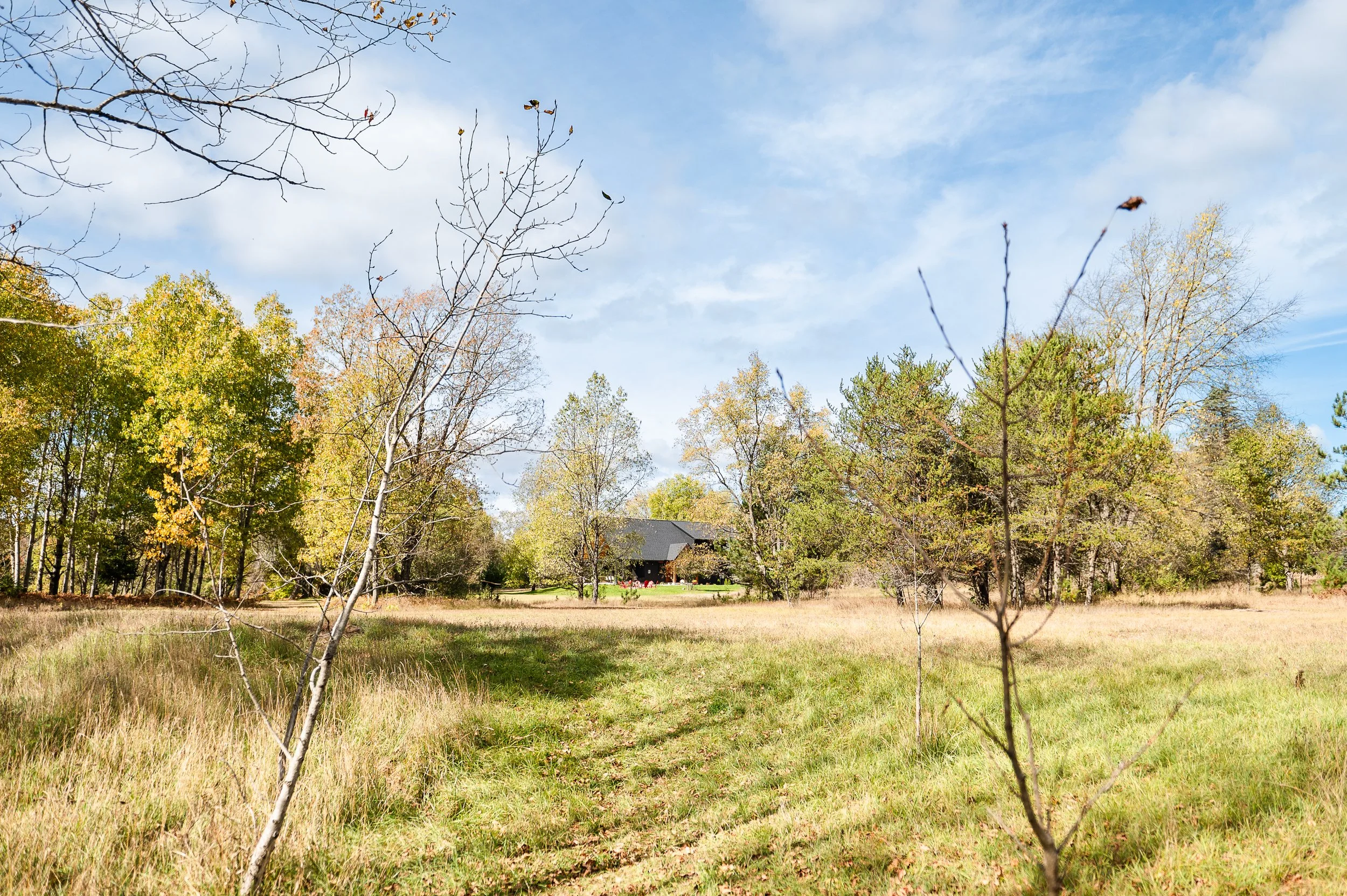 A large grassy field with trees and a house in the distance, under a partly cloudy sky.