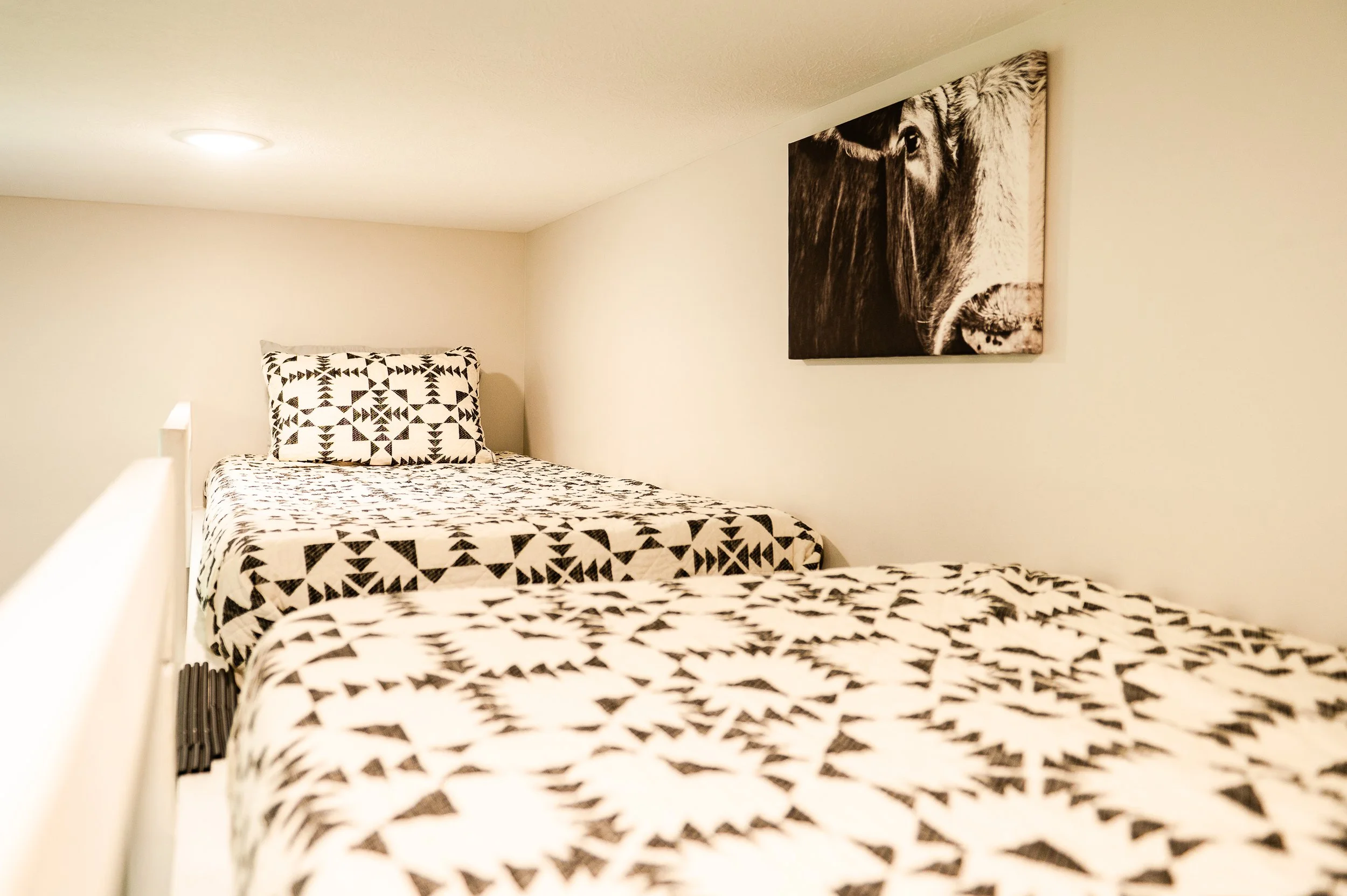 View of a bedroom with two beds covered in black and white geometric patterned bedding, a large black and white cow portrait on the wall, and minimal decor in a neutral-colored room with ceiling lighting.