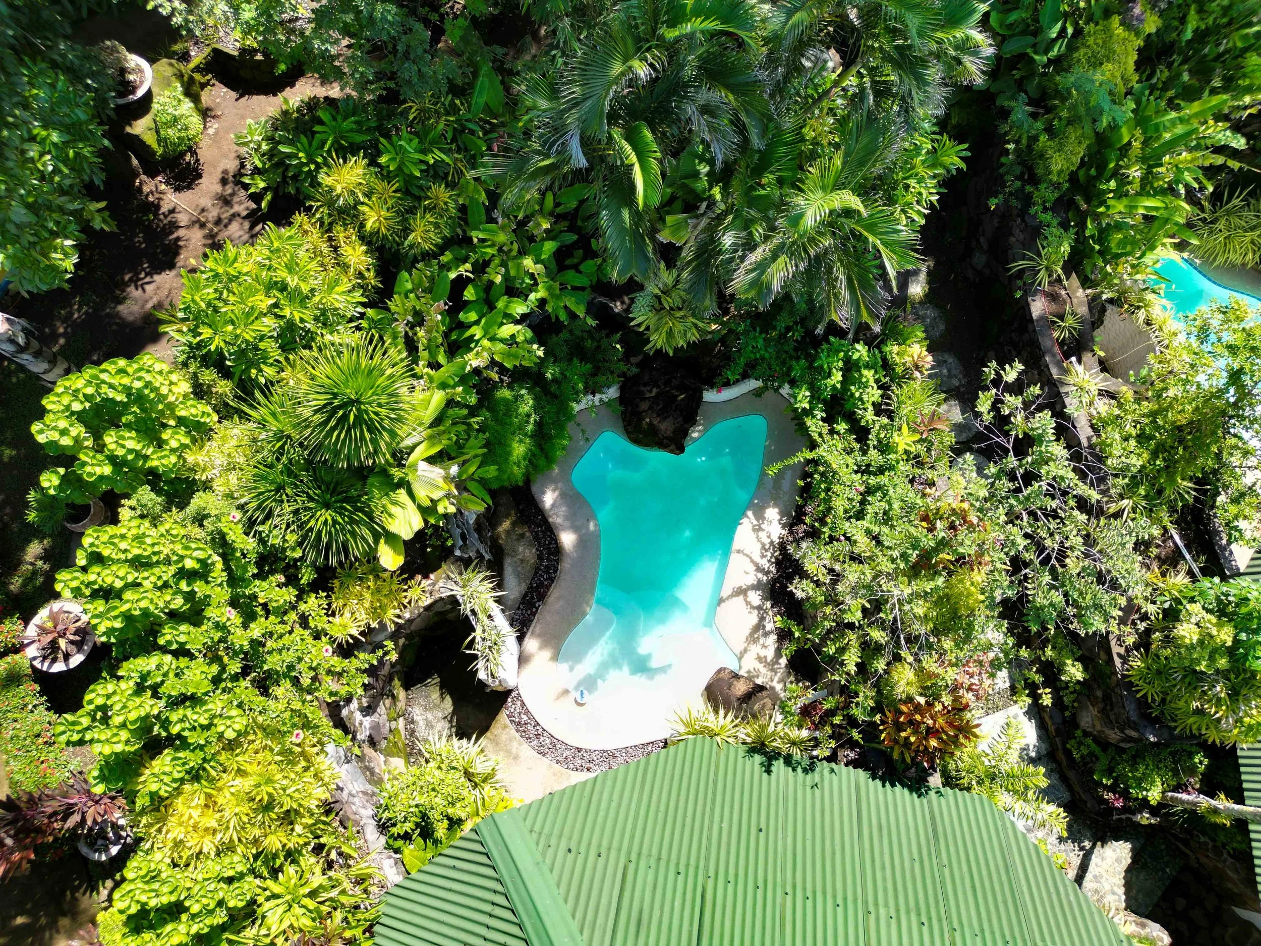 DJI_0320.jpg