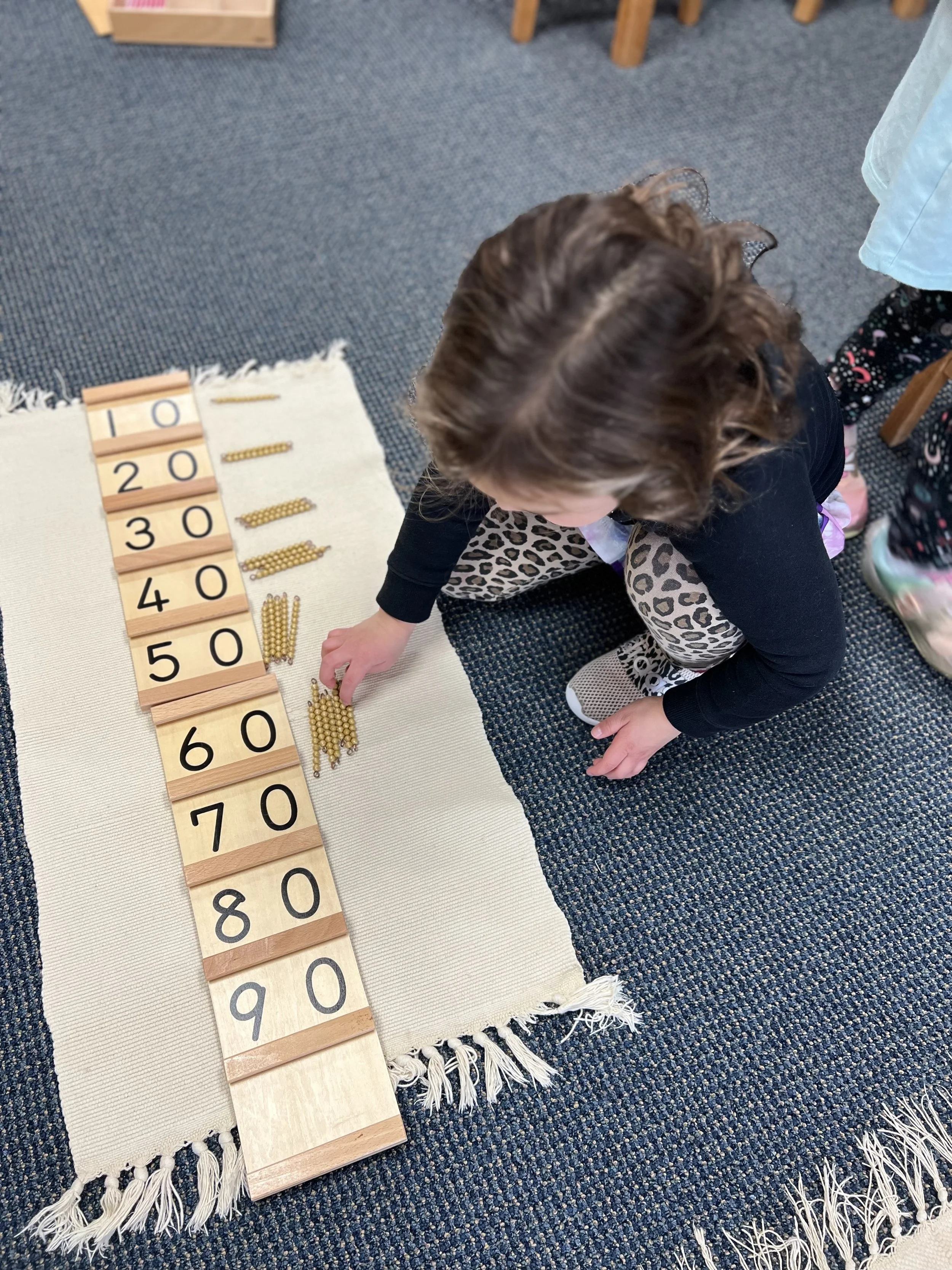 curriculum - math.jpg