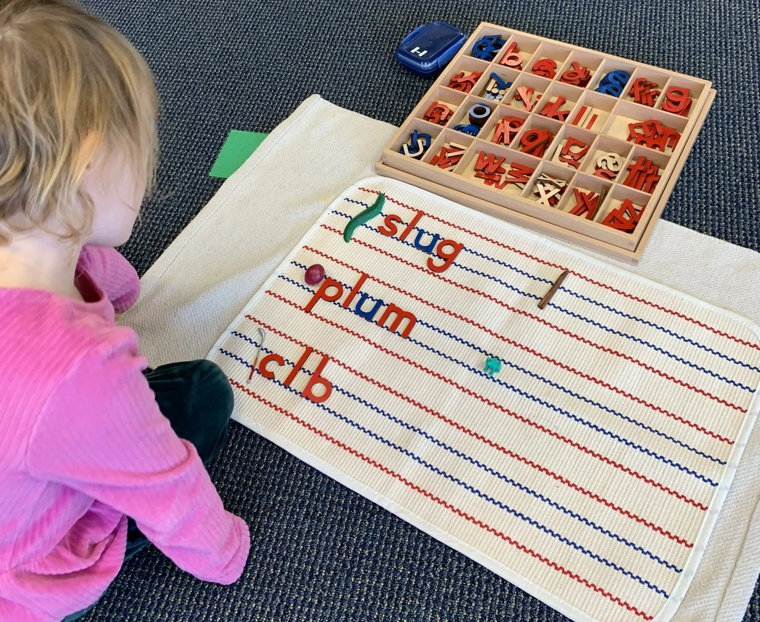 Curriculum literacy.jpeg