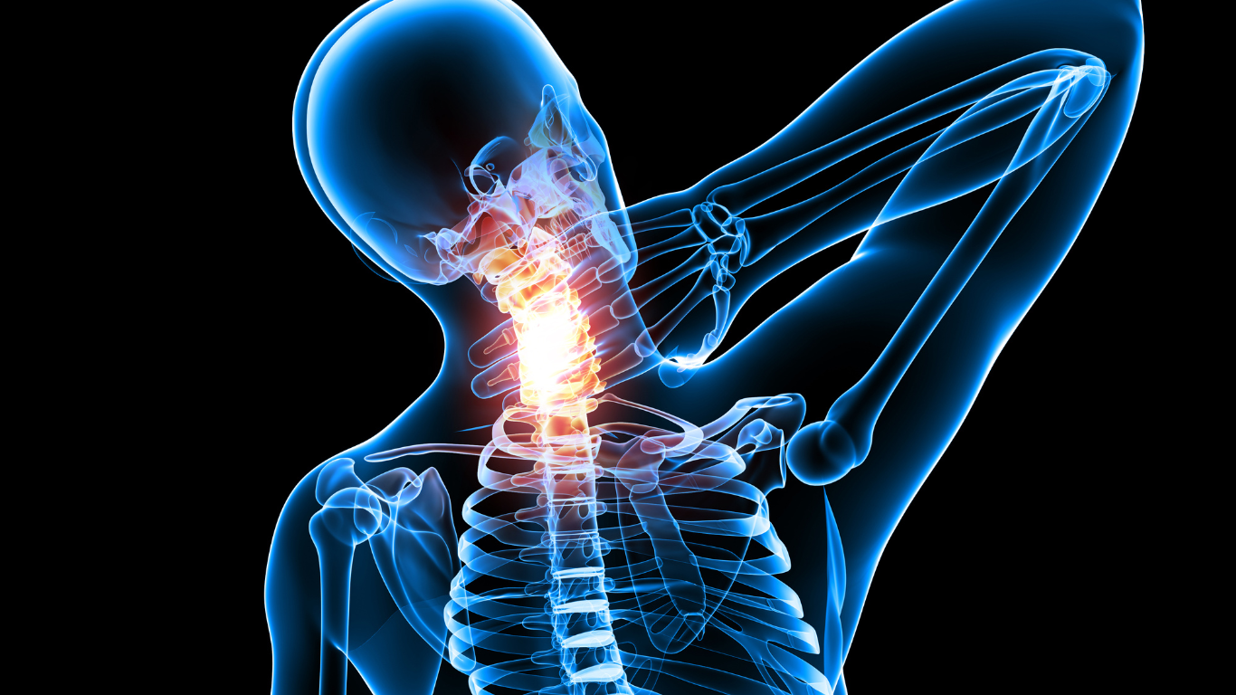 SHOULDER & NECK