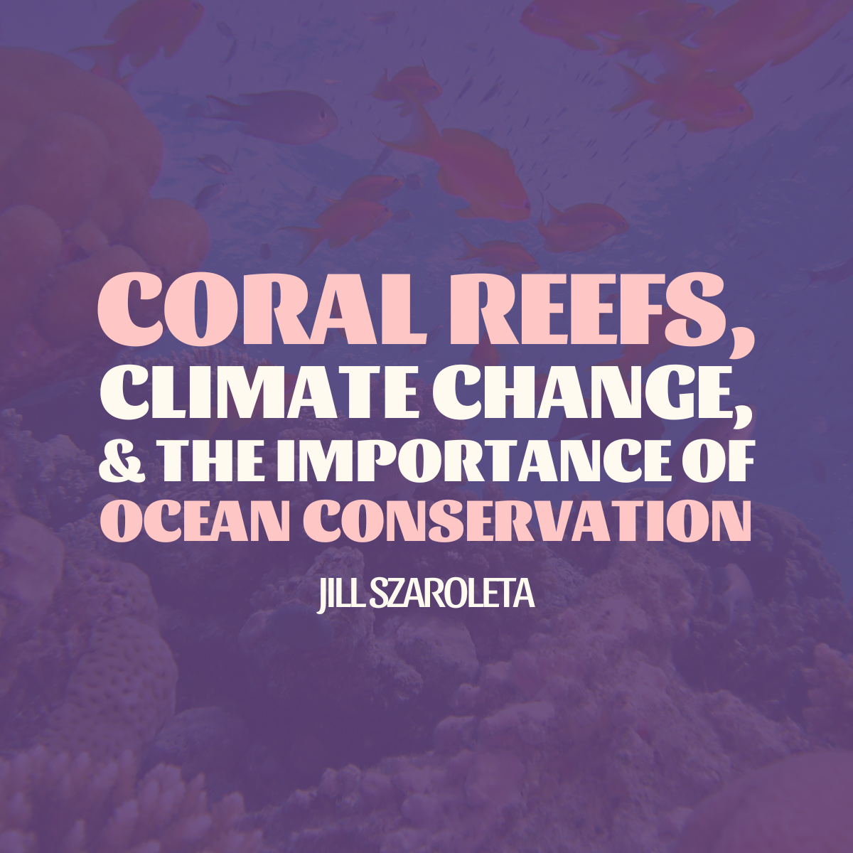 Coral Reefs Square Blog Card Purple.png