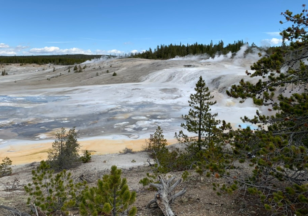 CONNECTING WITH NATURE &amp; INSPIRING ACTIVISM: LESSONS FROM YELLOWSTONE