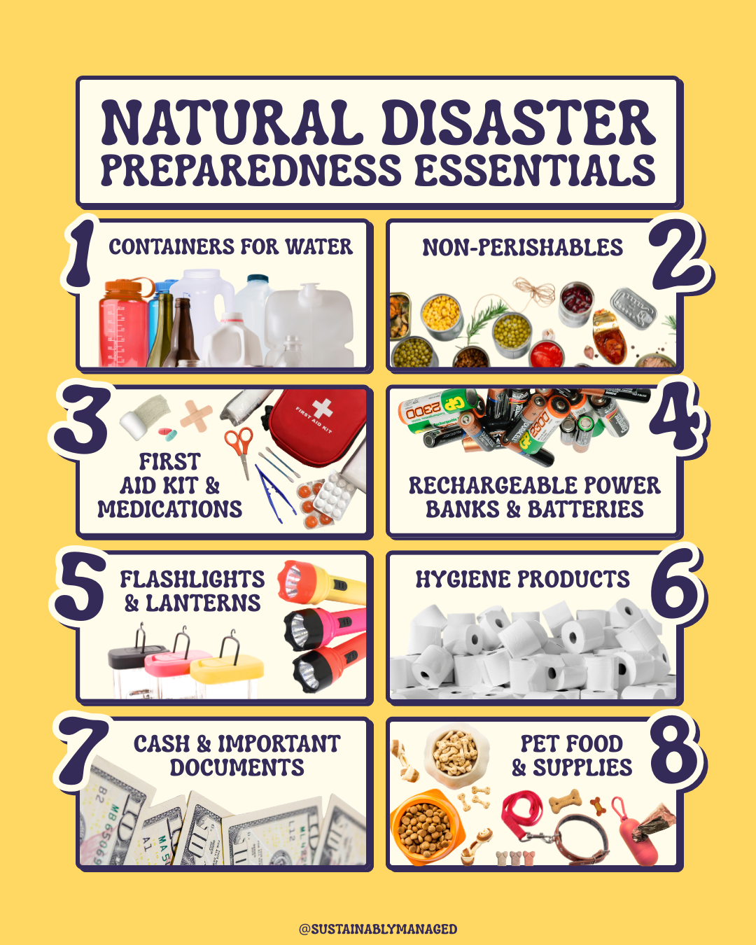 Natural Disaster Preparedness Essentials (1).png