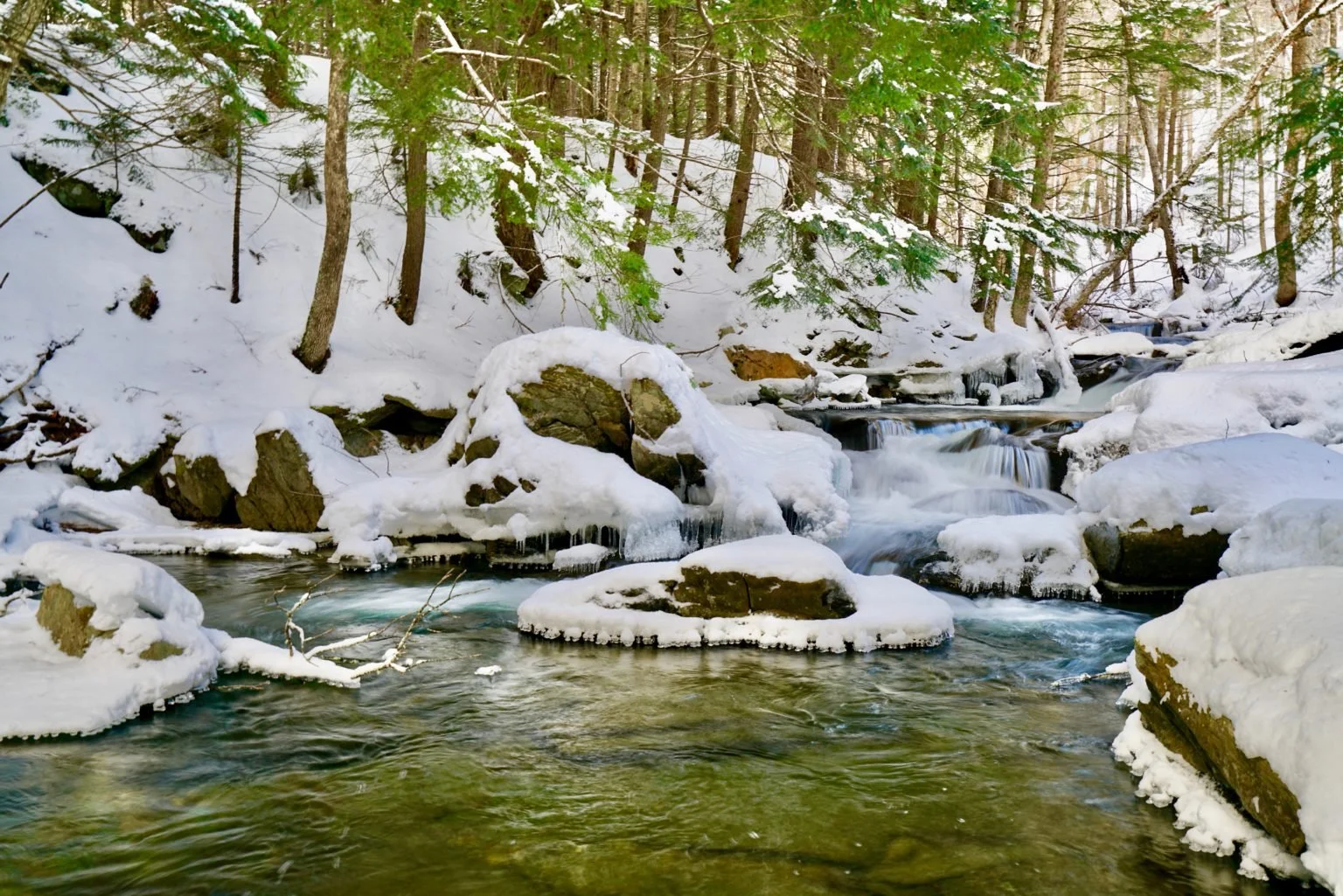 Spring Yoga Series – 10 Weeks of Awakening Vitality Through Movement & Breath