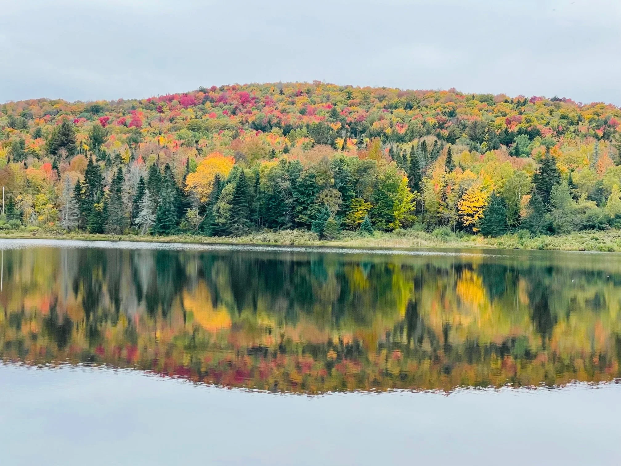 Fall colors .jpg
