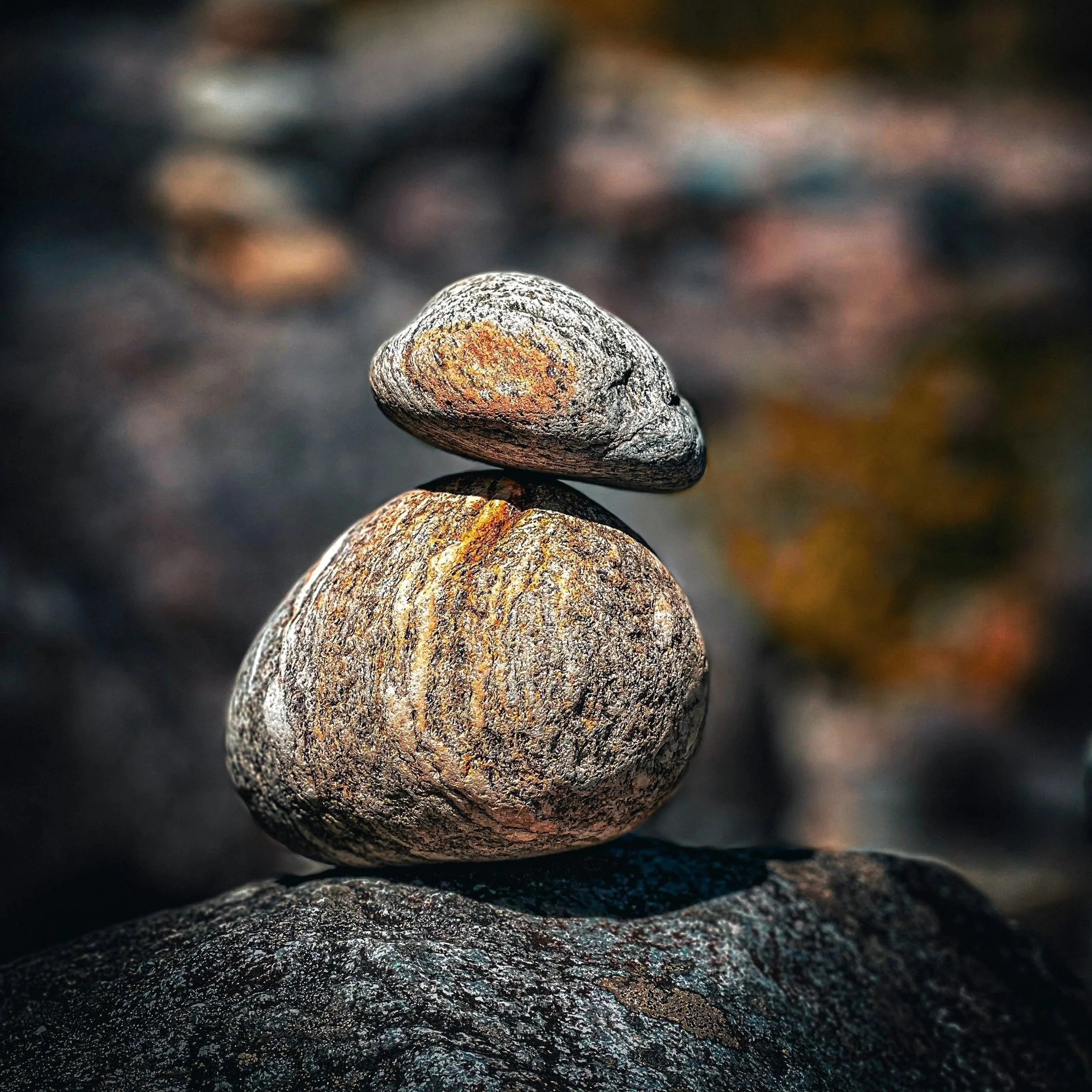 Fall Yoga Series – 10 Weeks of Balance