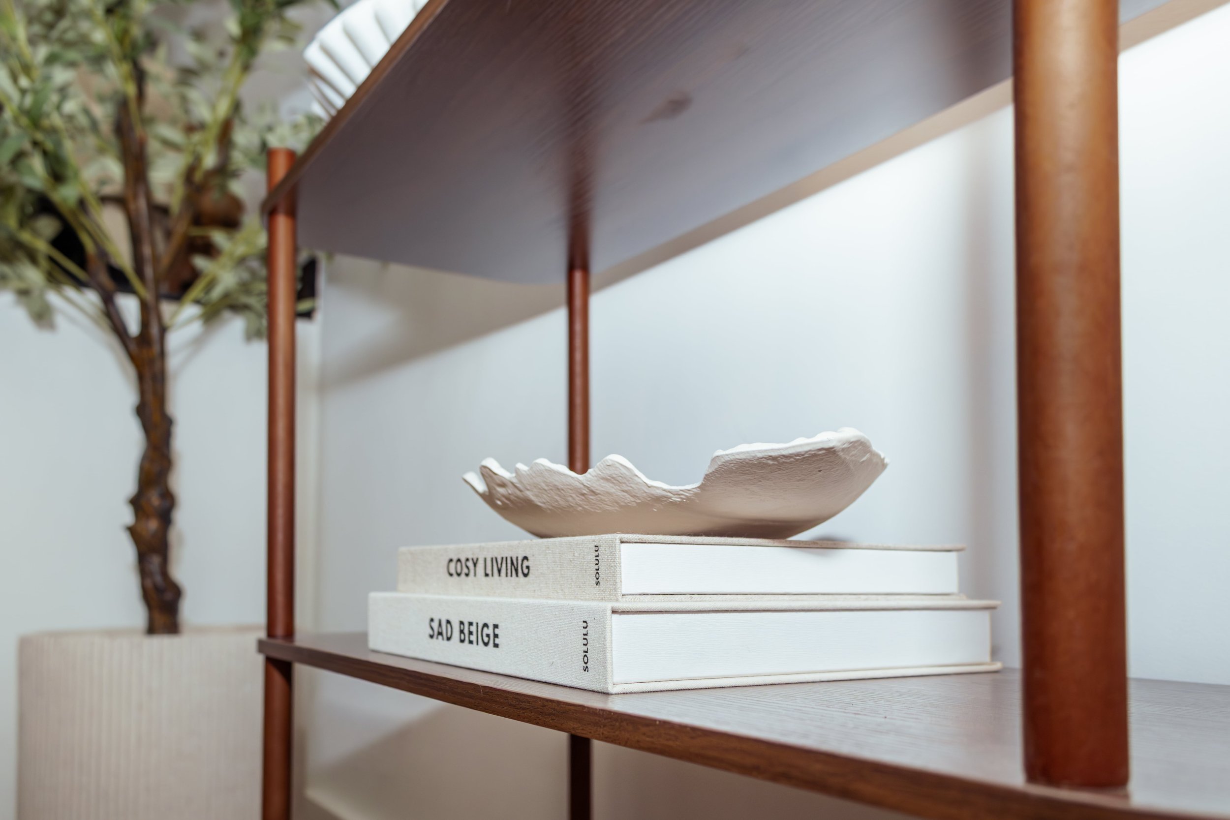 Een boekenrek met een schaal op twee boeken, met een groene plant op de achtergrond.