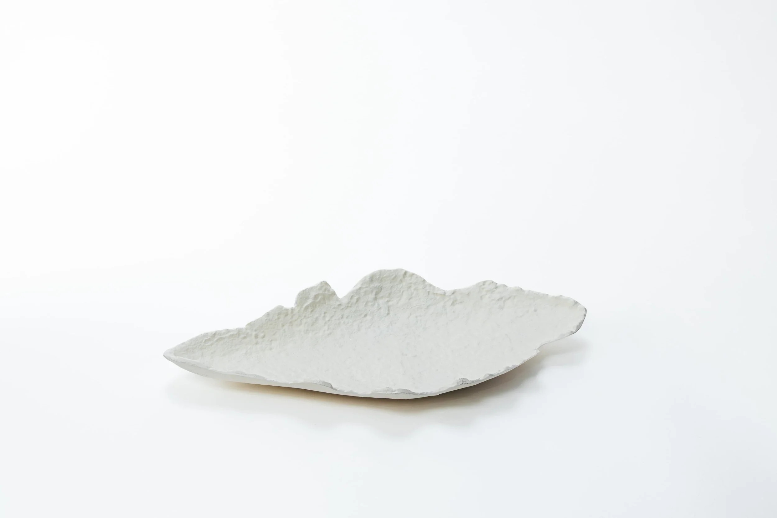 Een wit, onregelmatig gevormd object, mogelijk een stuk tandsteen of kalk, ligt op een witte achtergrond.