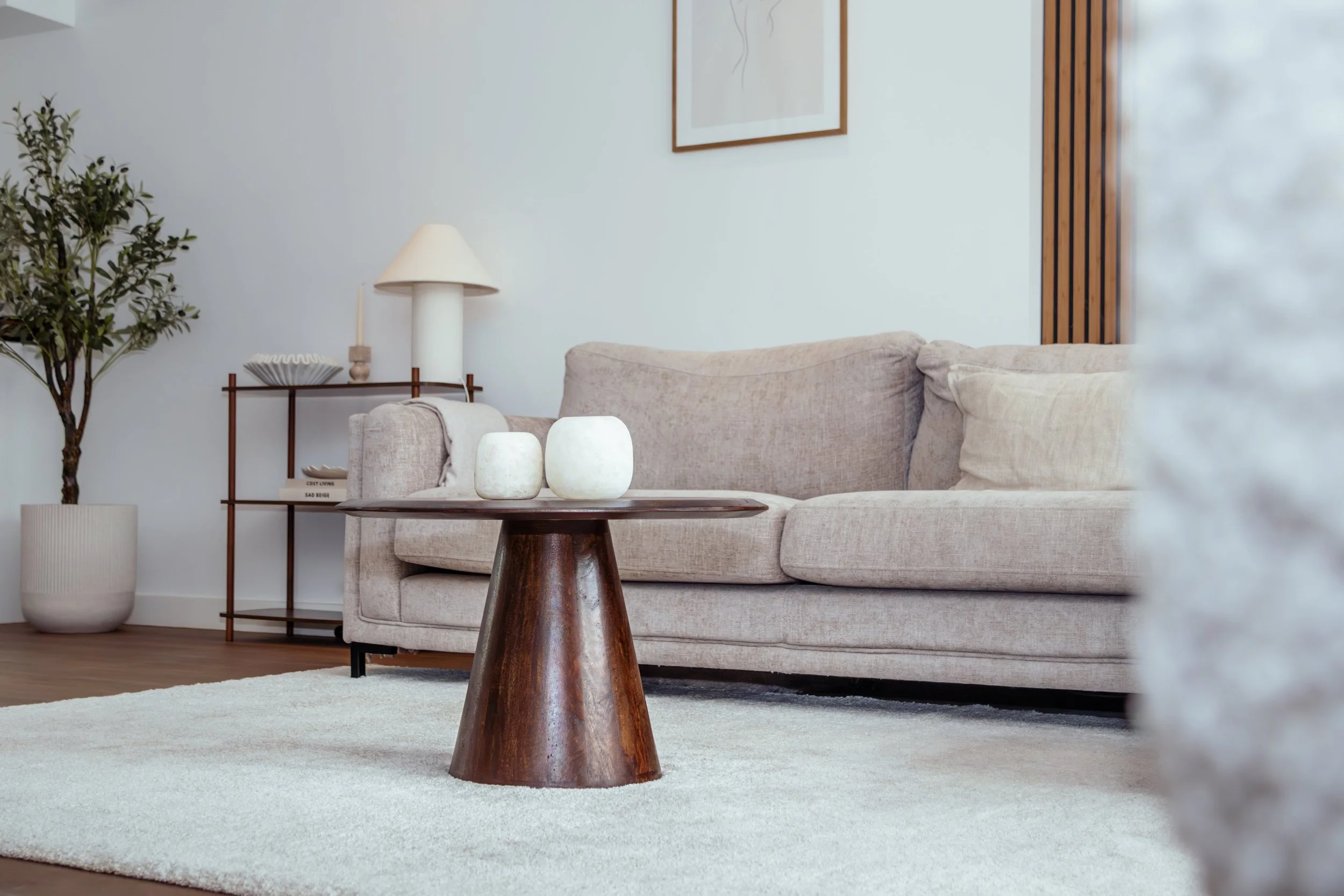 Leeg woonkamer met beige bank, houten salontafel met witte decoratieve objecten, witte gyptische vloerkleed, planten, lamp, en wanddecoratie.