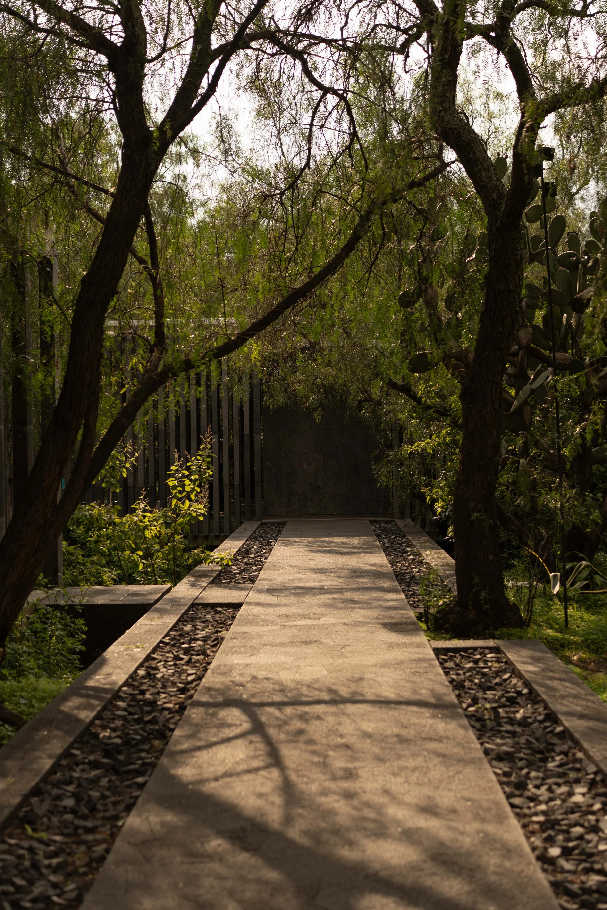 20260809-MuseoAnahuacalli-edits-@xjuliiale-22.jpg