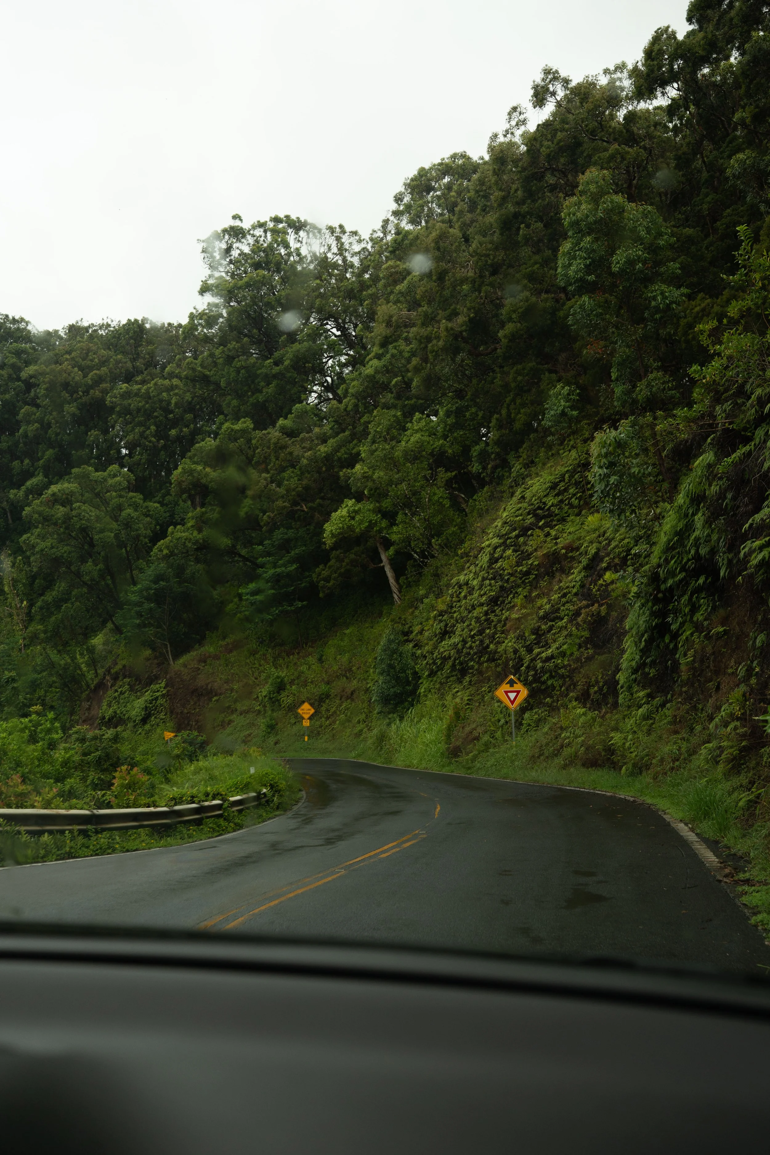 26JuneMaui-edits_@xjuliiale-1.jpg